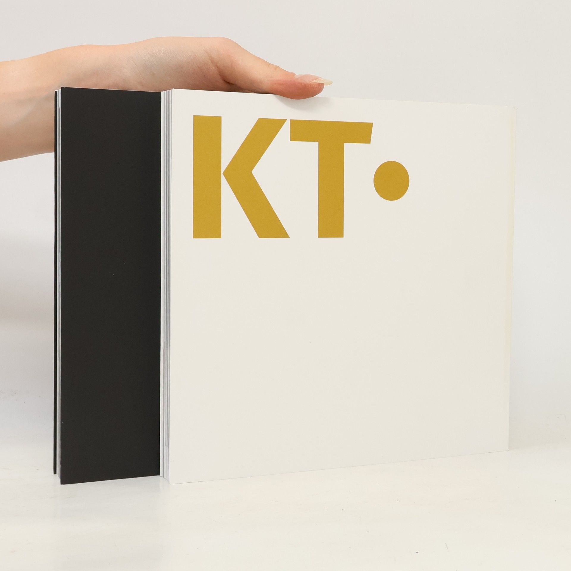 Kolektiv autorů DJKT: Divadlo J.K. Tyla v Plzni 1965-2015