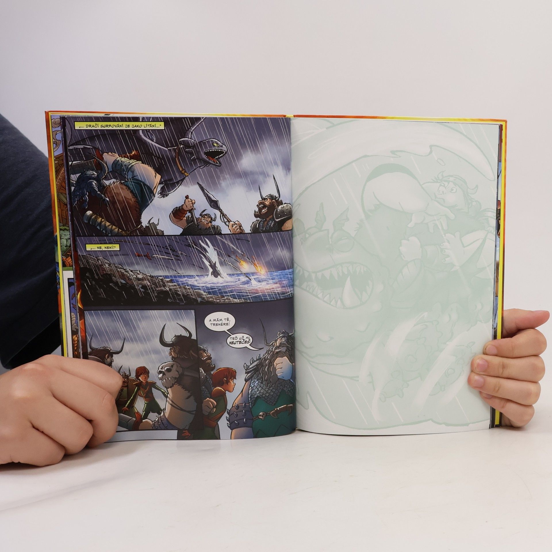 Simon Furman Jak vycvičit draky : Dračí výheň