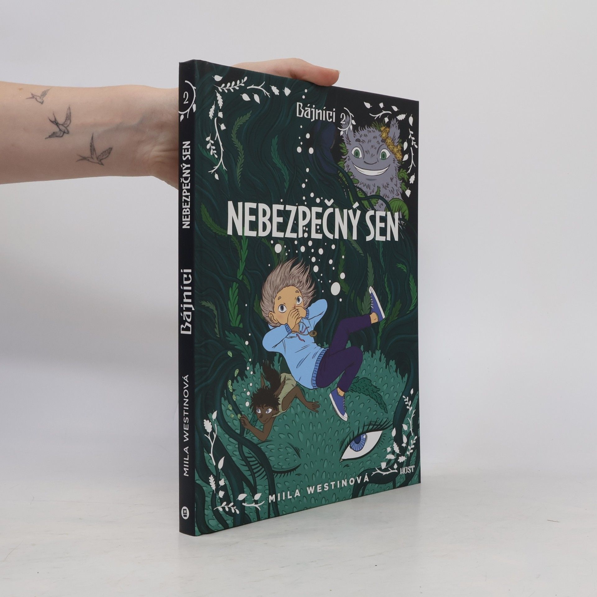 Miila Westin Nebezpečný sen