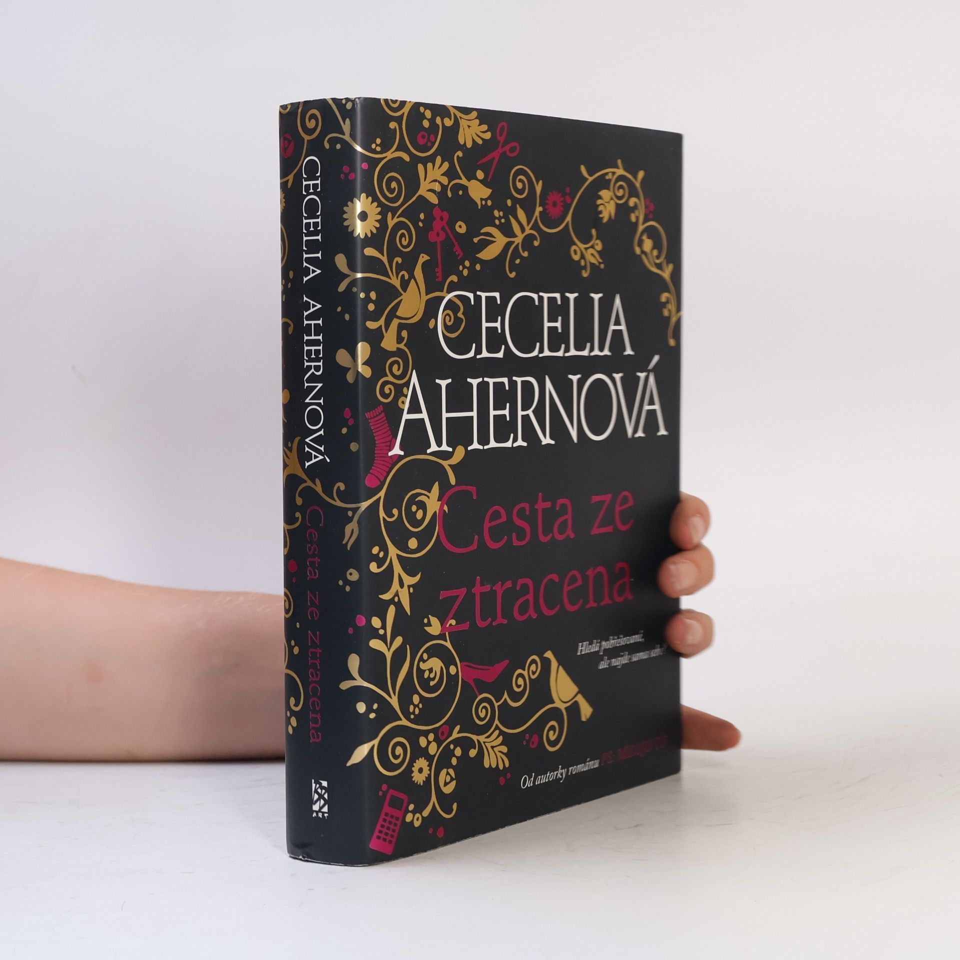 Cecelia Ahern Cesta ze ztracena