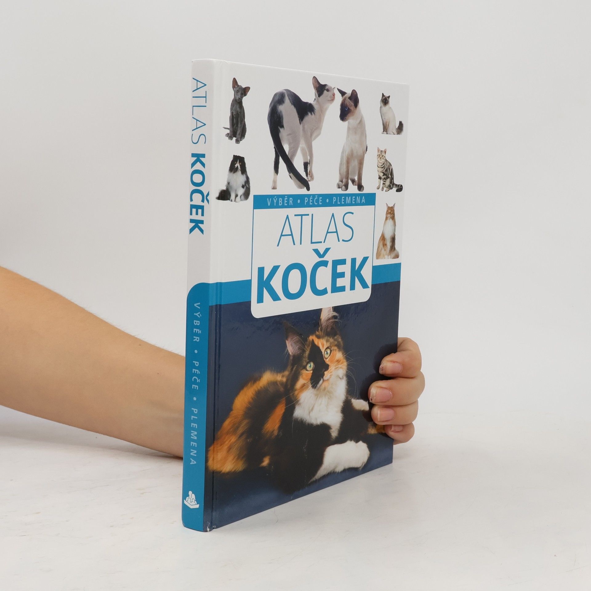 Autorenkollektiv Atlas koček : výběr, péče, plemena