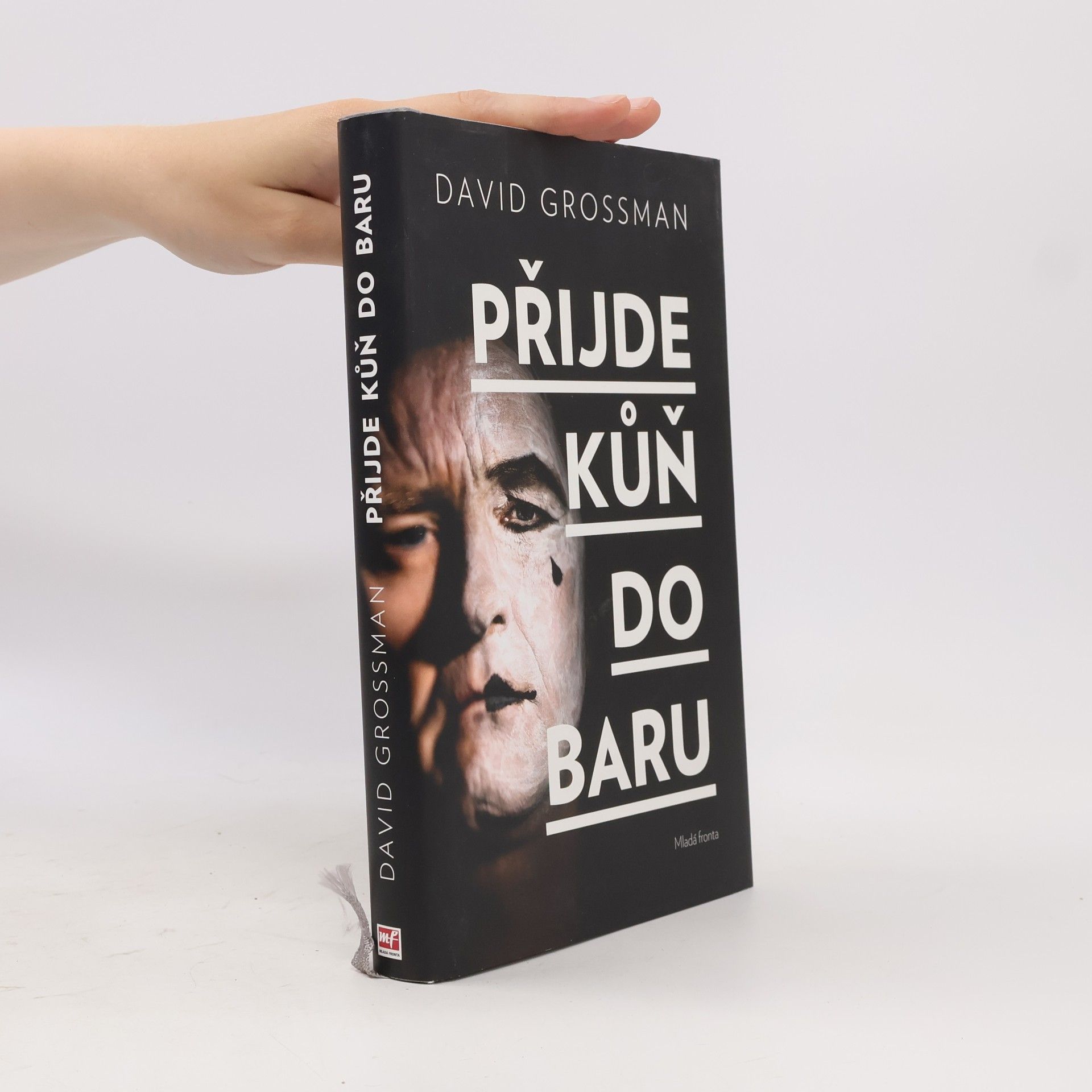 David Grossman Přijde kůň do baru