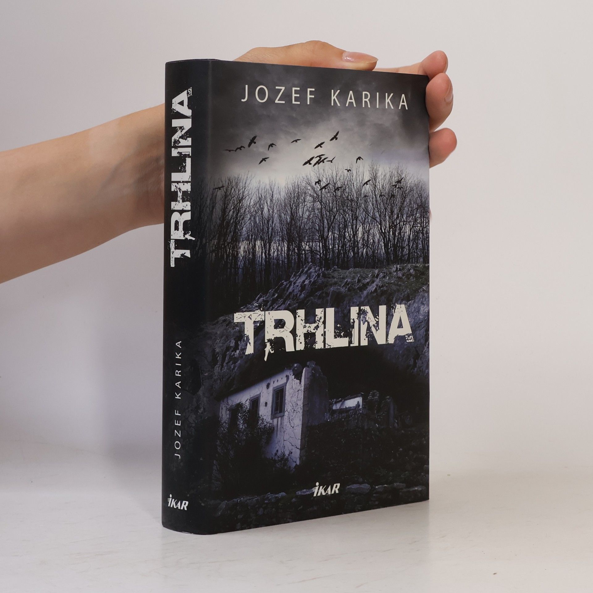 Jozef Karika Trhlina
