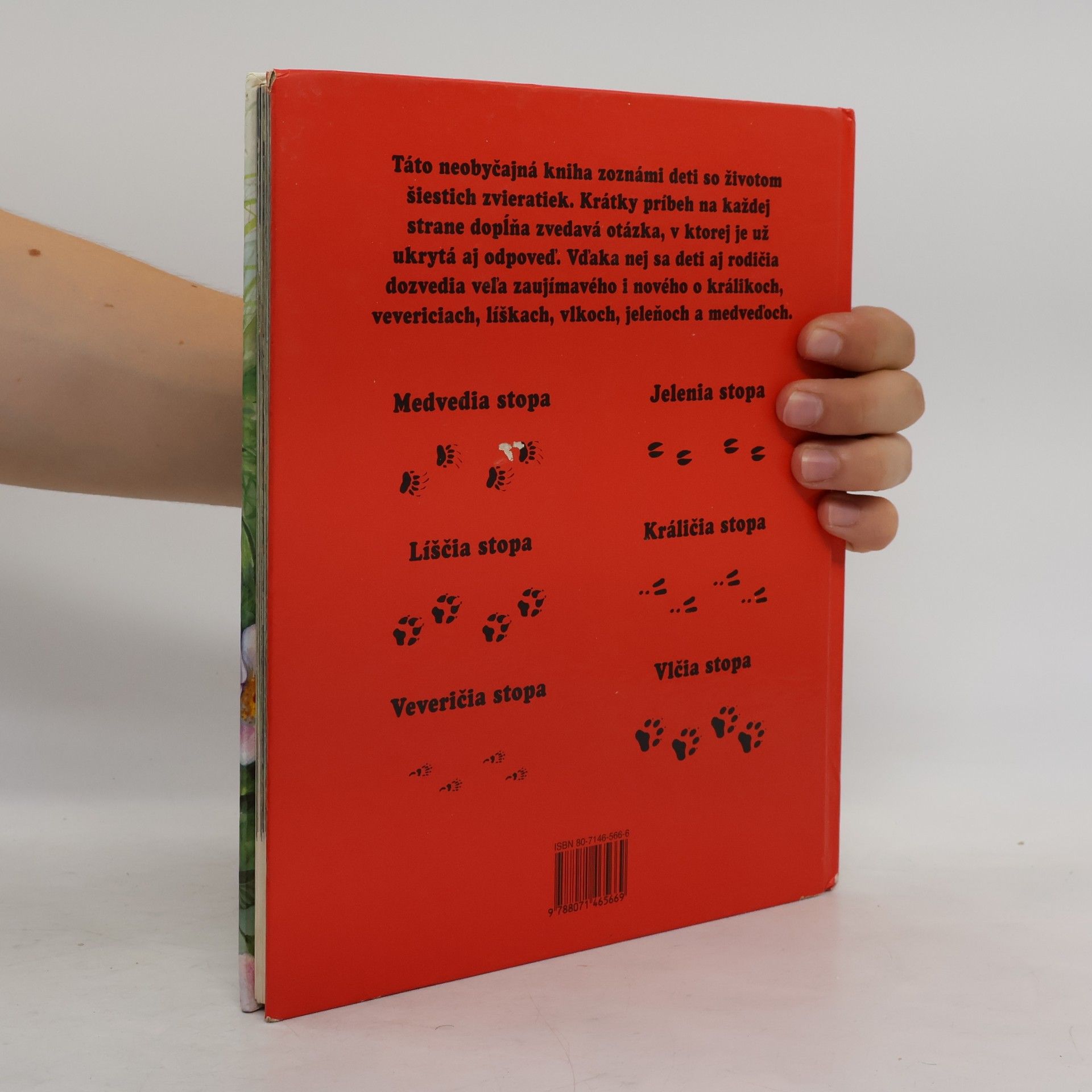 Autorenkollektiv V lese a na čistinke