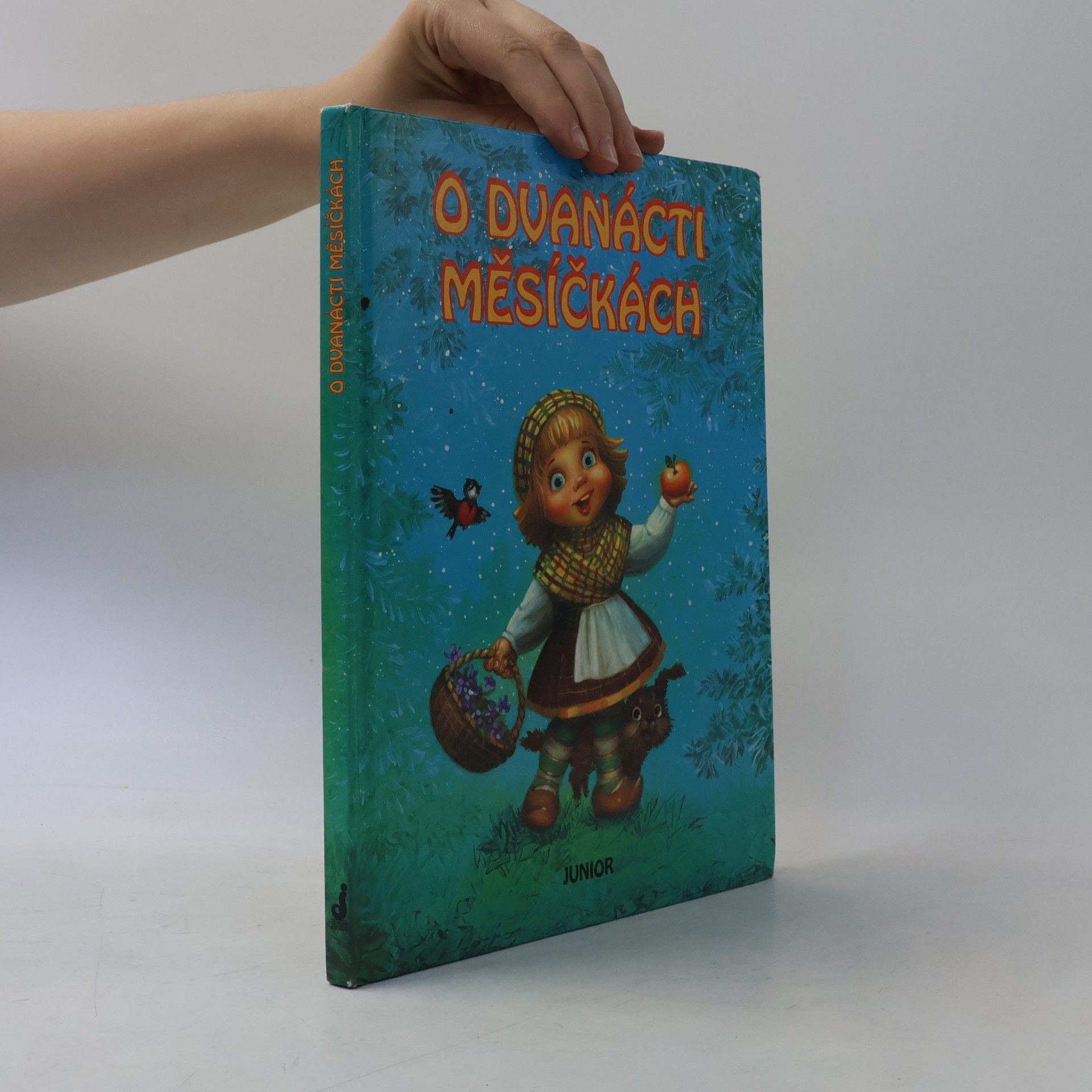 Světlana Borisovová O dvanácti měsíčkách