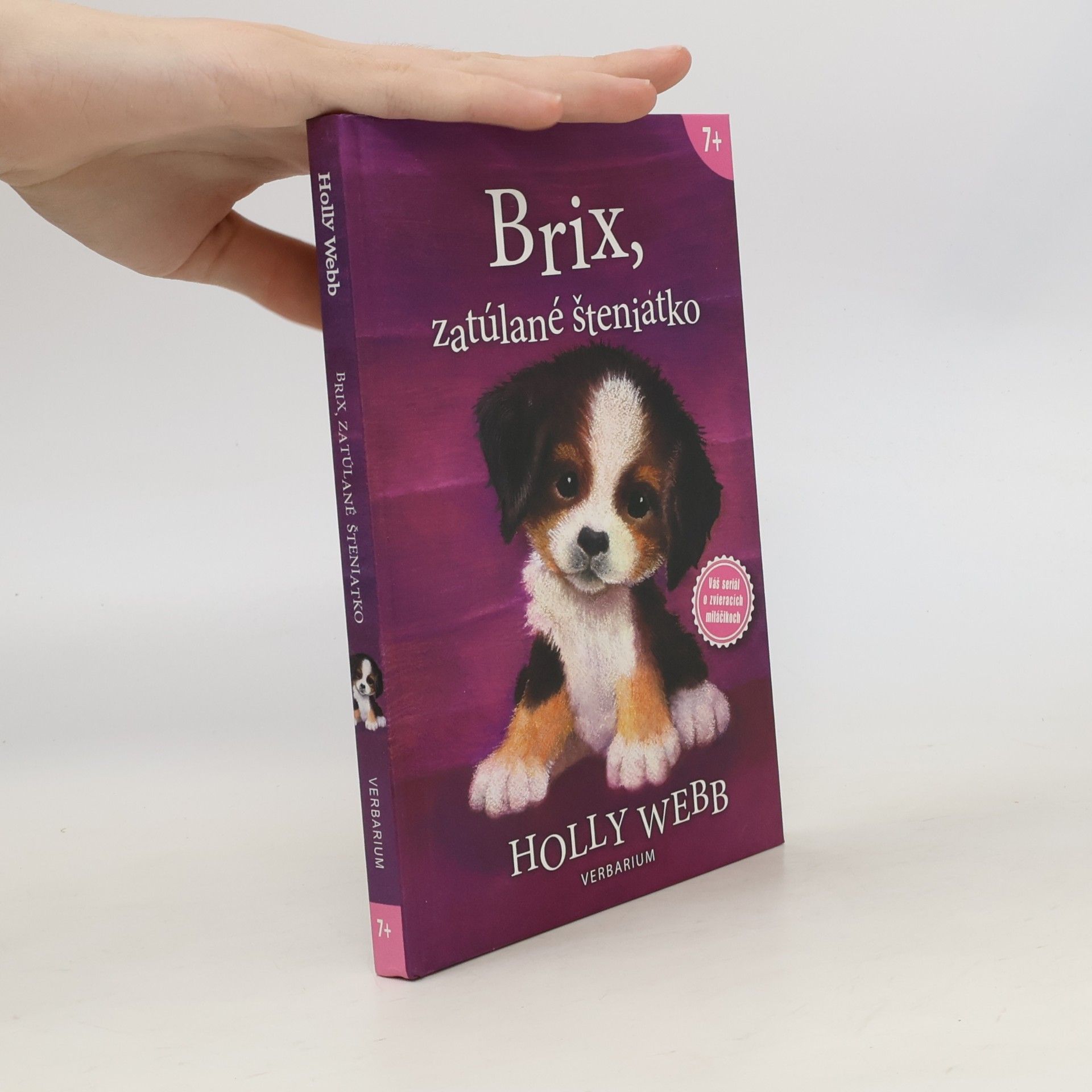 Holly Webb Brix, zatúlané šteniatko