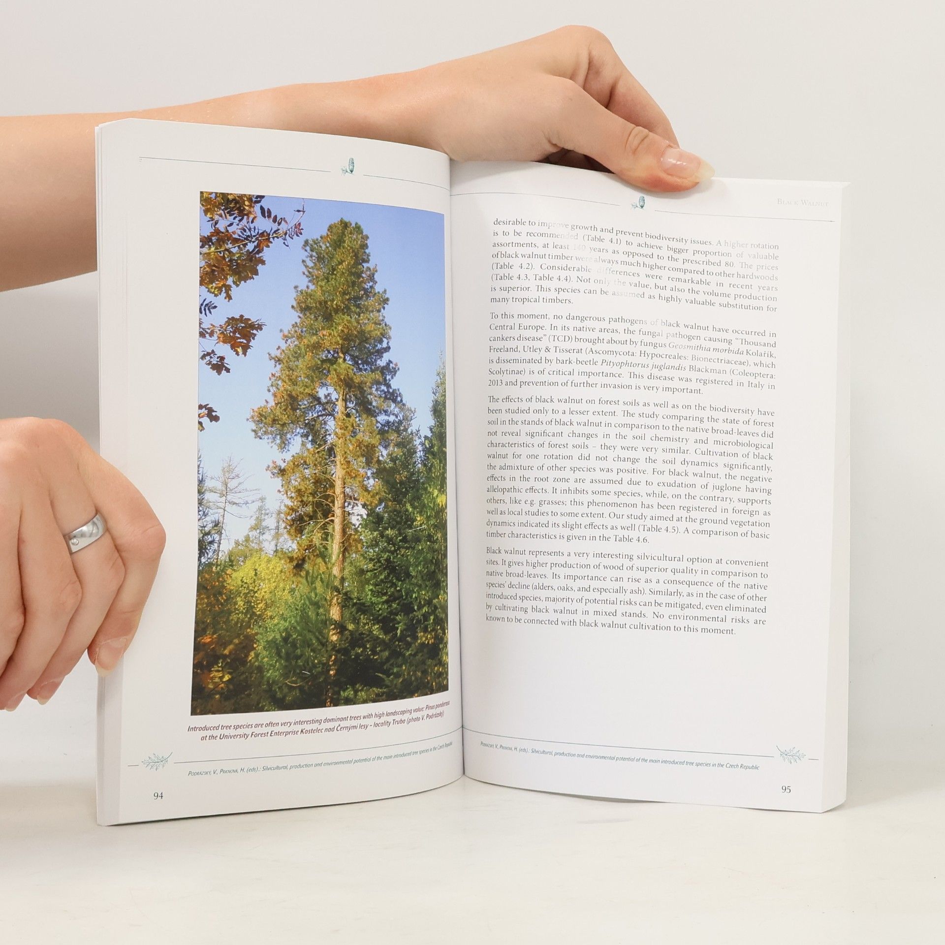 Martin Baláš Silvicultural Production and Environmental Potential of the Main Introduced Tree Species in the Czech Republic