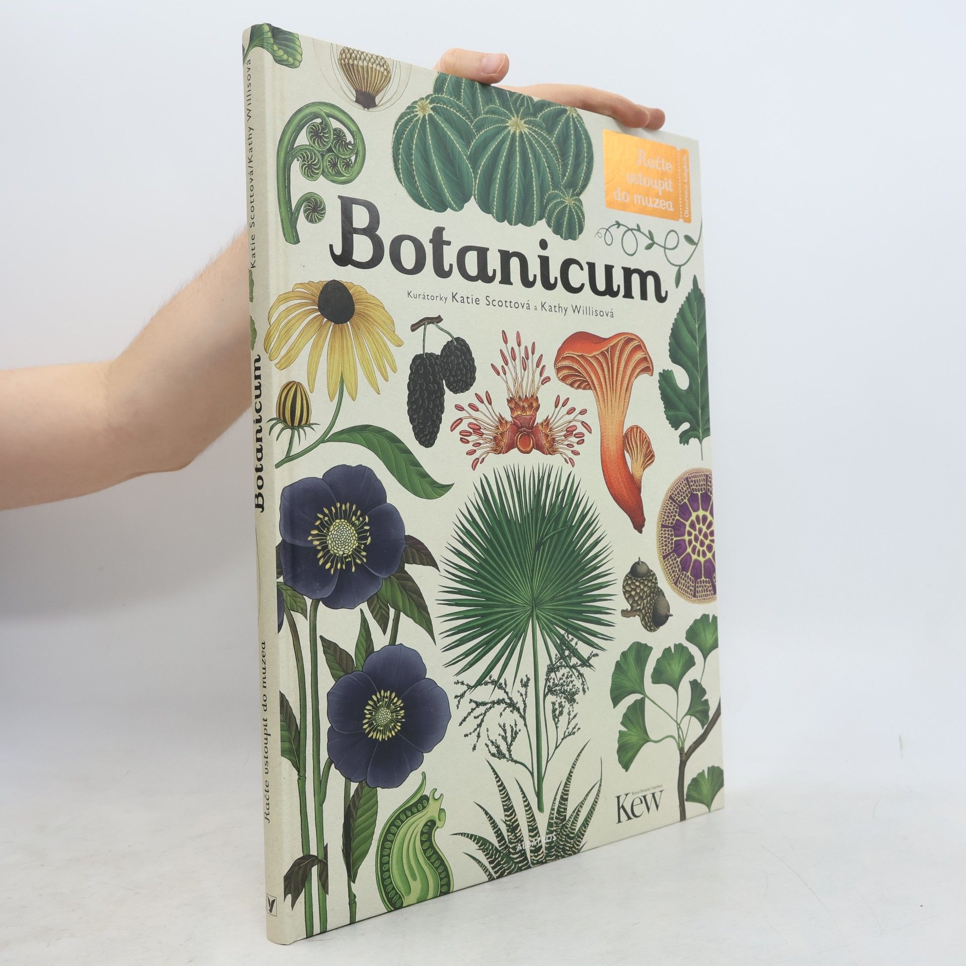 Kathy Willis Botanicum