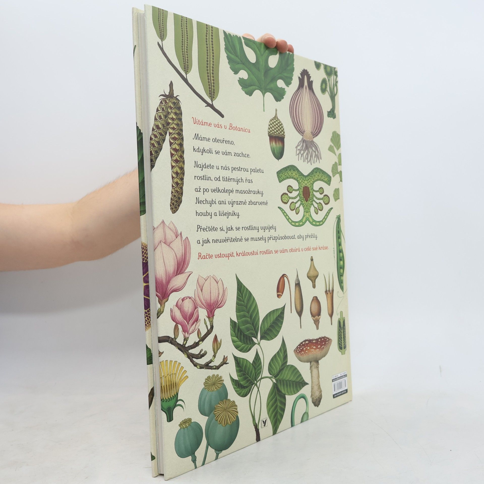 Katie Scott Botanicum