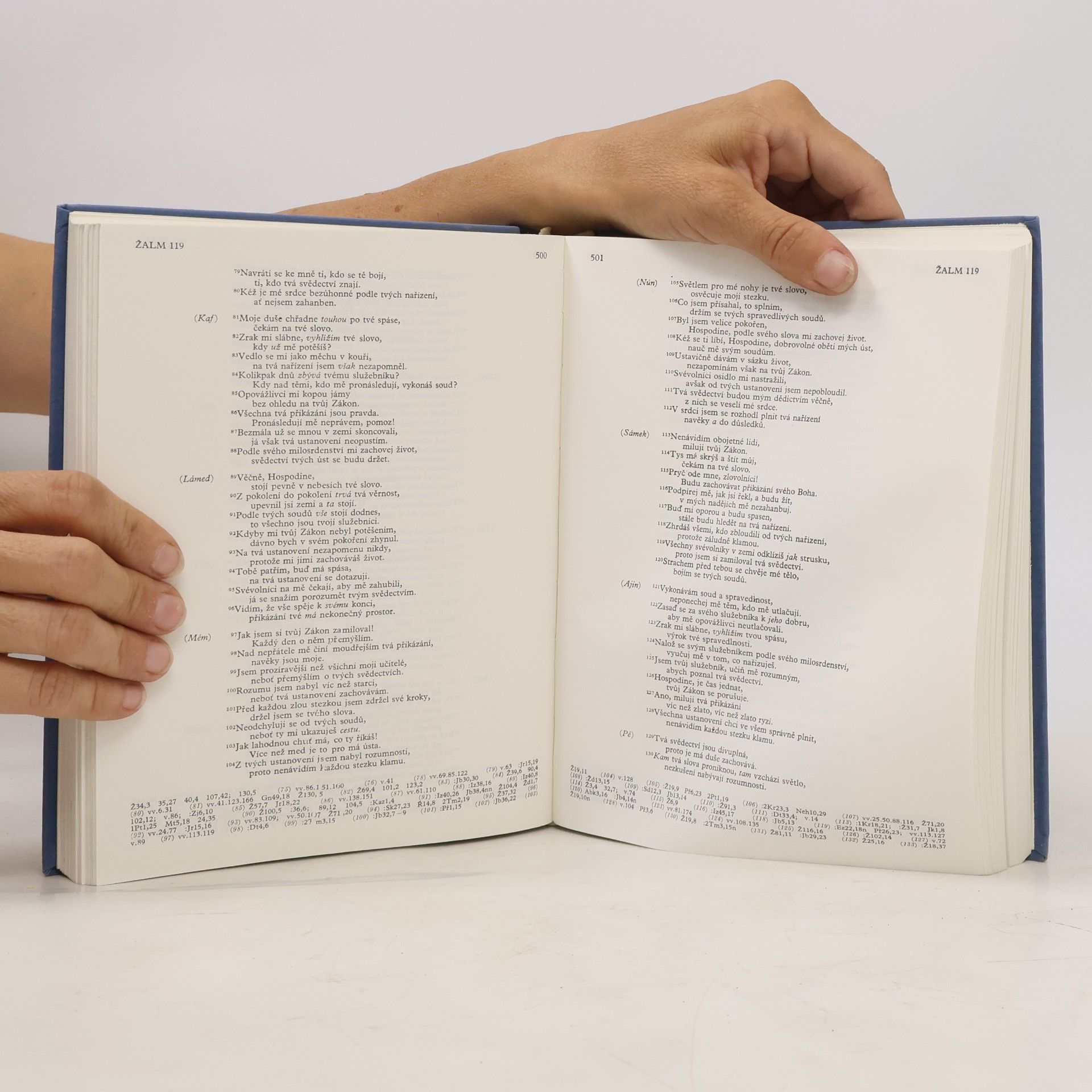 Autorenkollektiv Bible. Písmo svaté Starého a Nového zákona