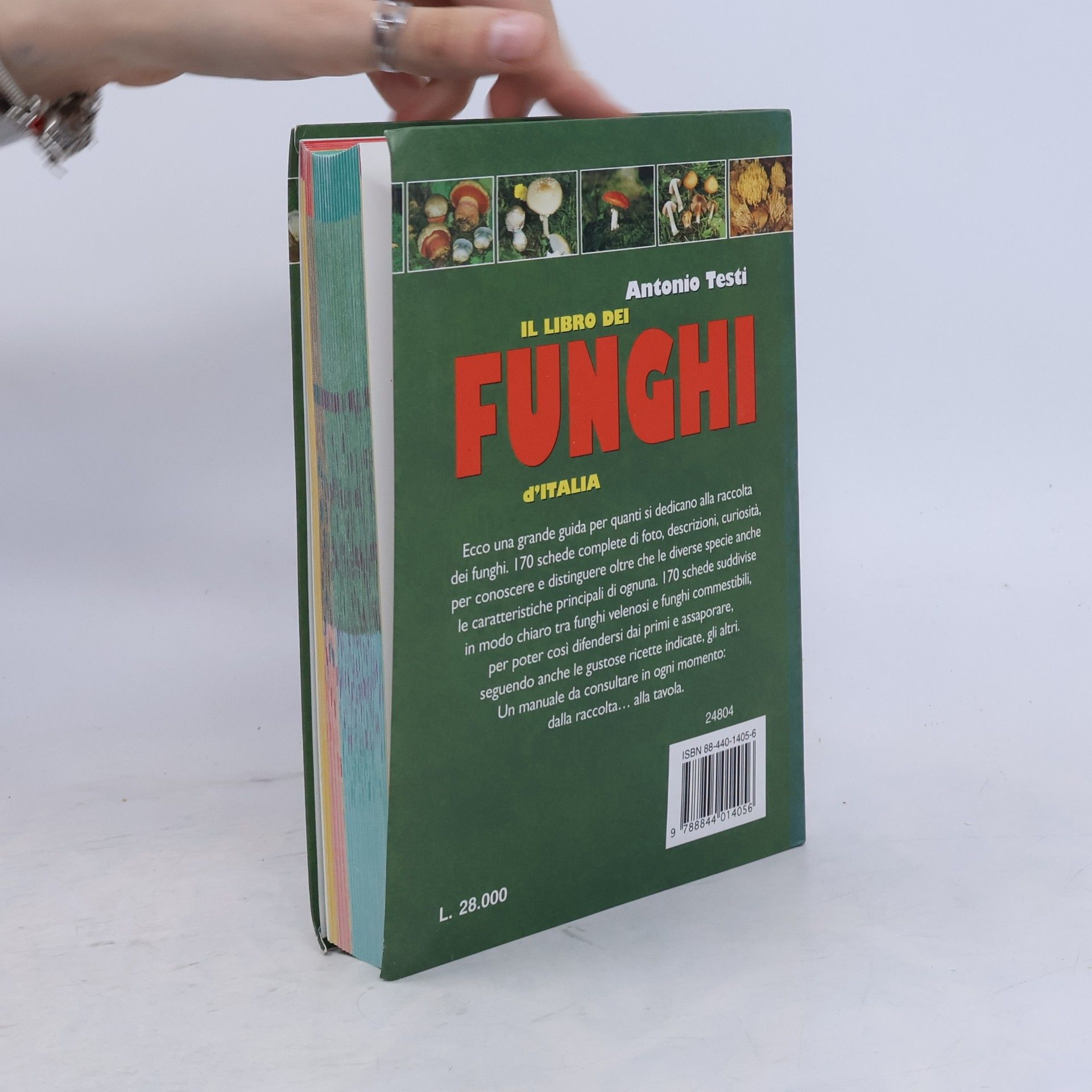 Antonio Testi  Il libro dei funghi d'Italia