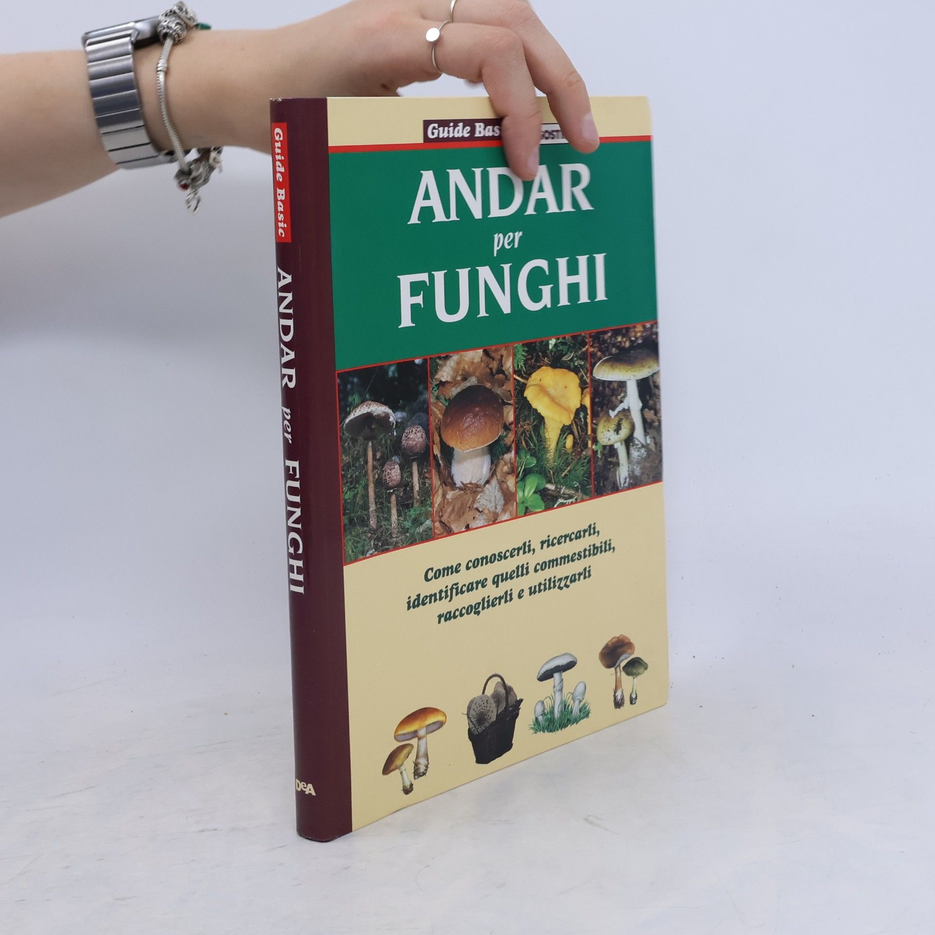 Paolo Puccinelli Guide Basic: Andar per funghi. Come conoscerli, ricercarli, identificare quelli commestibili, raccoglierli e utilizzarli
