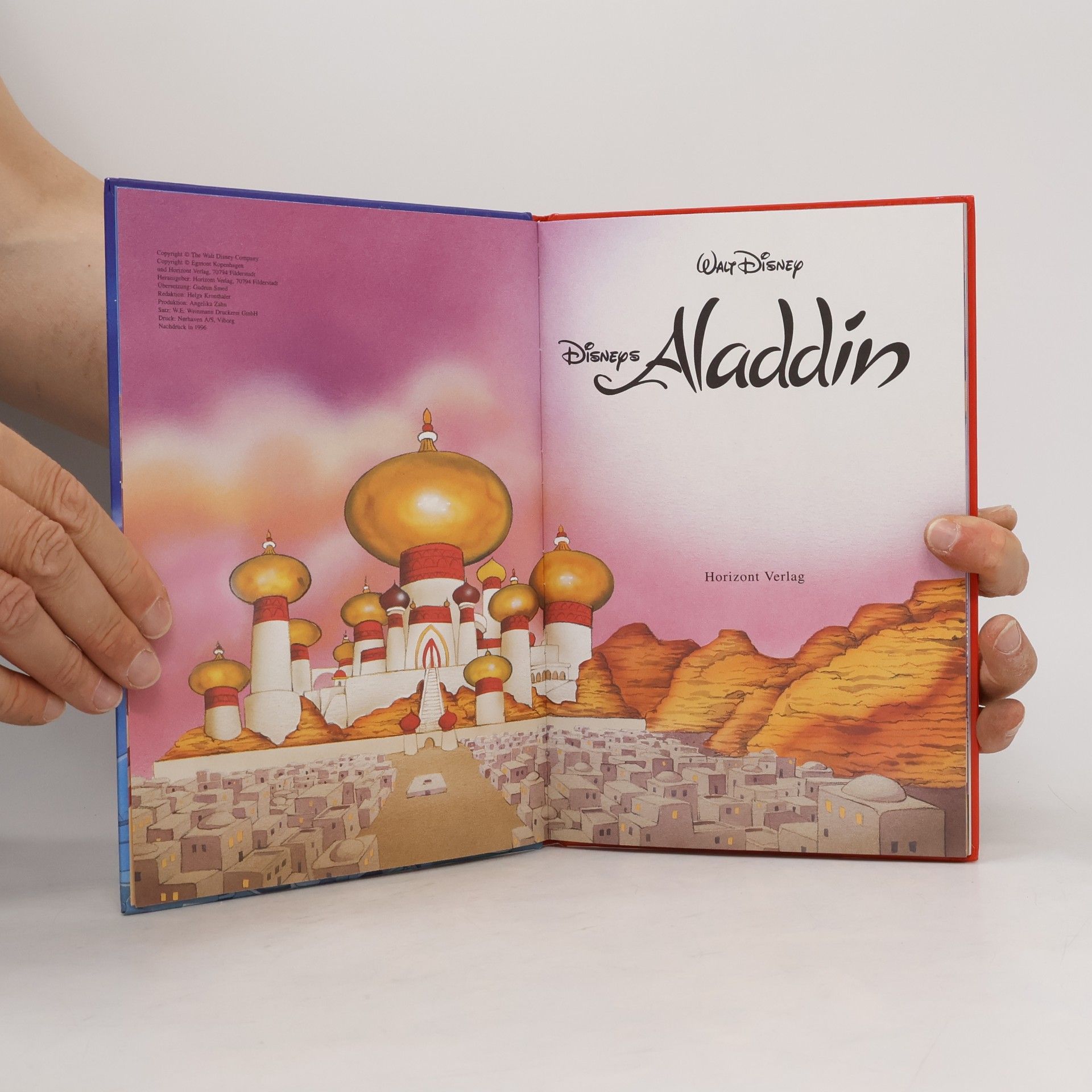 Walt Disney Disneys Aladdin
