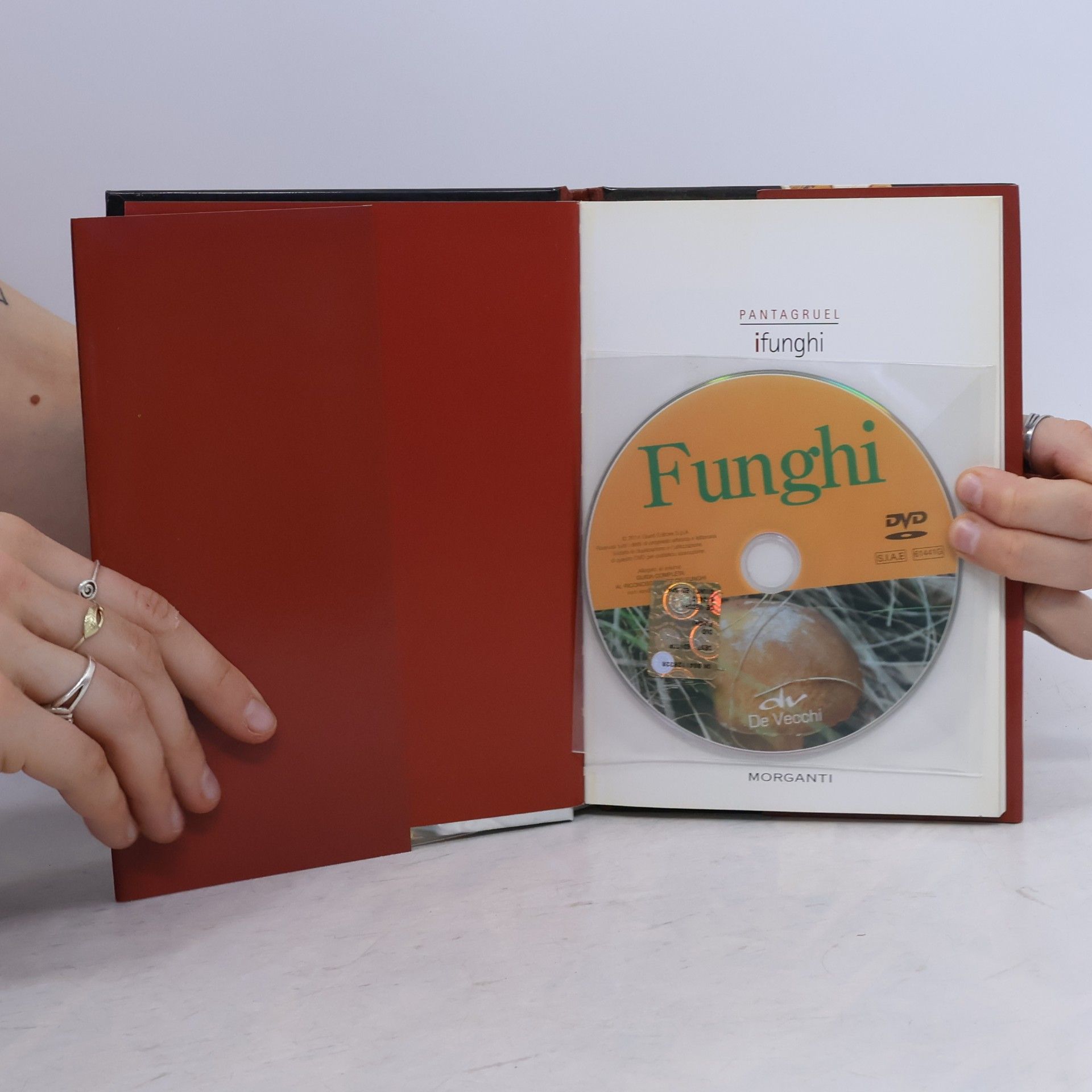 Pantagruel: I funghi
