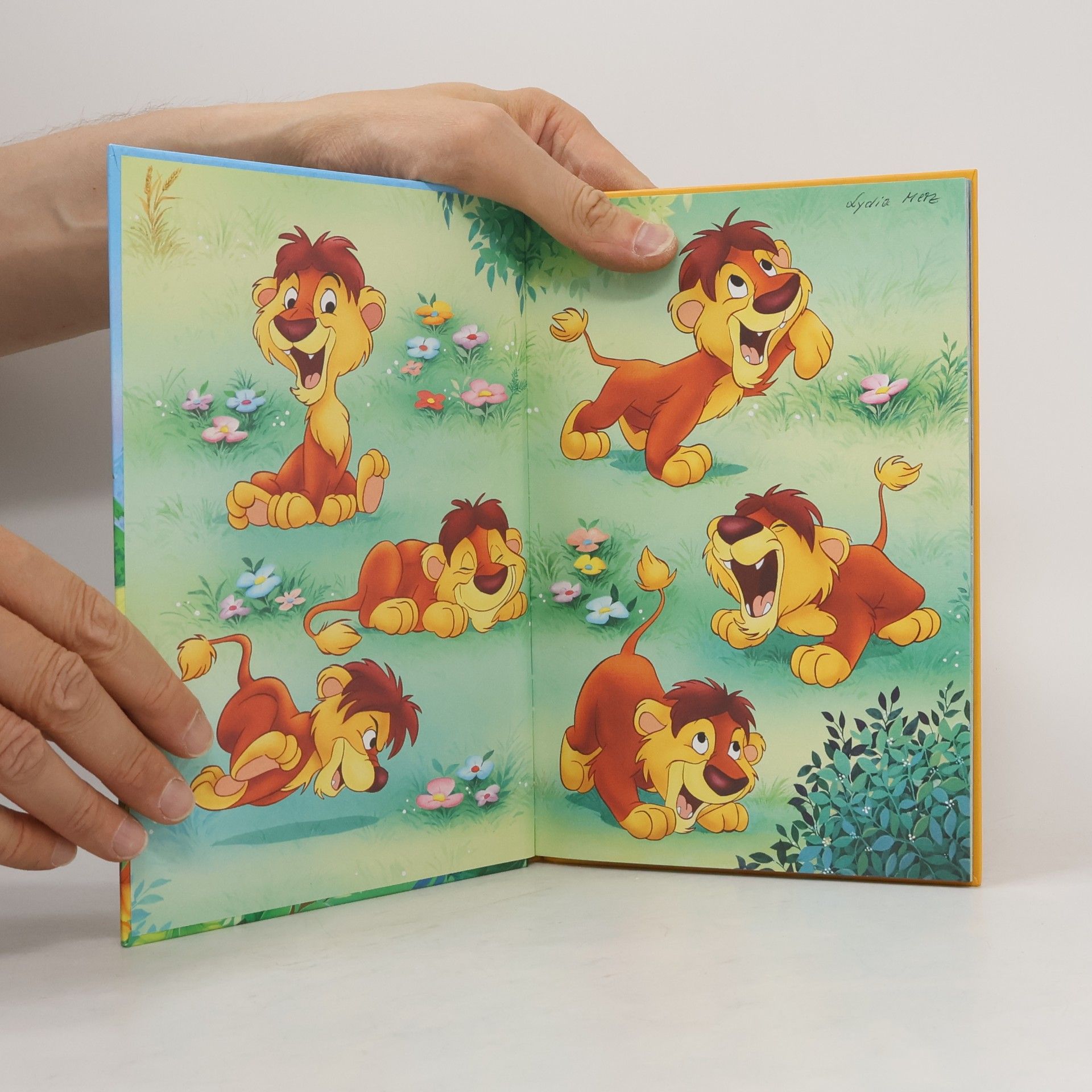 Autorenkollektiv Der kleine Löwe Lambert