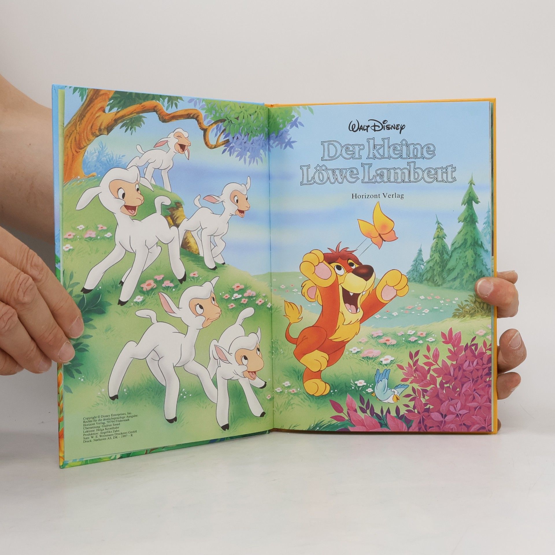 Autorenkollektiv Der kleine Löwe Lambert