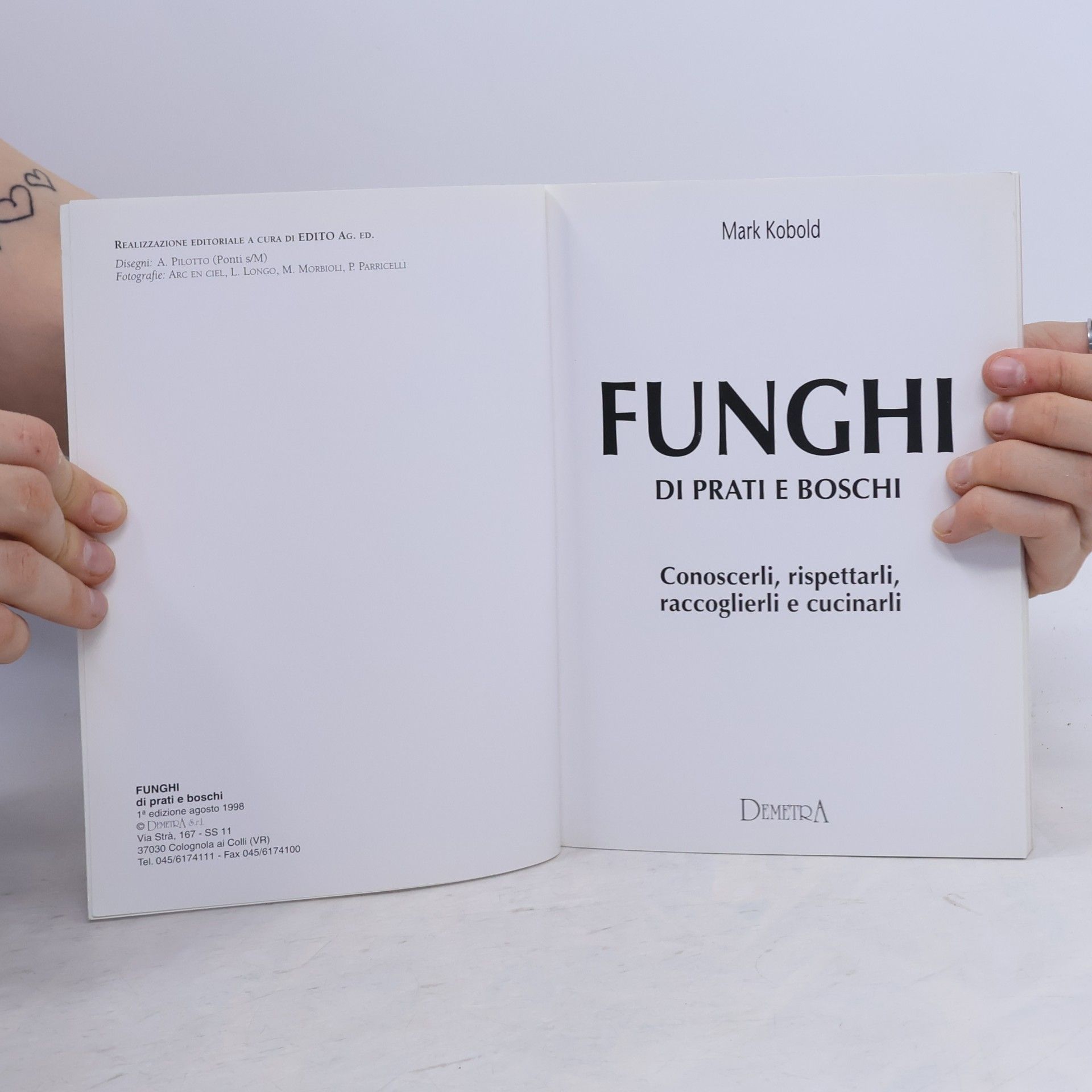 Piccole perle: Funghi di prati e boschi