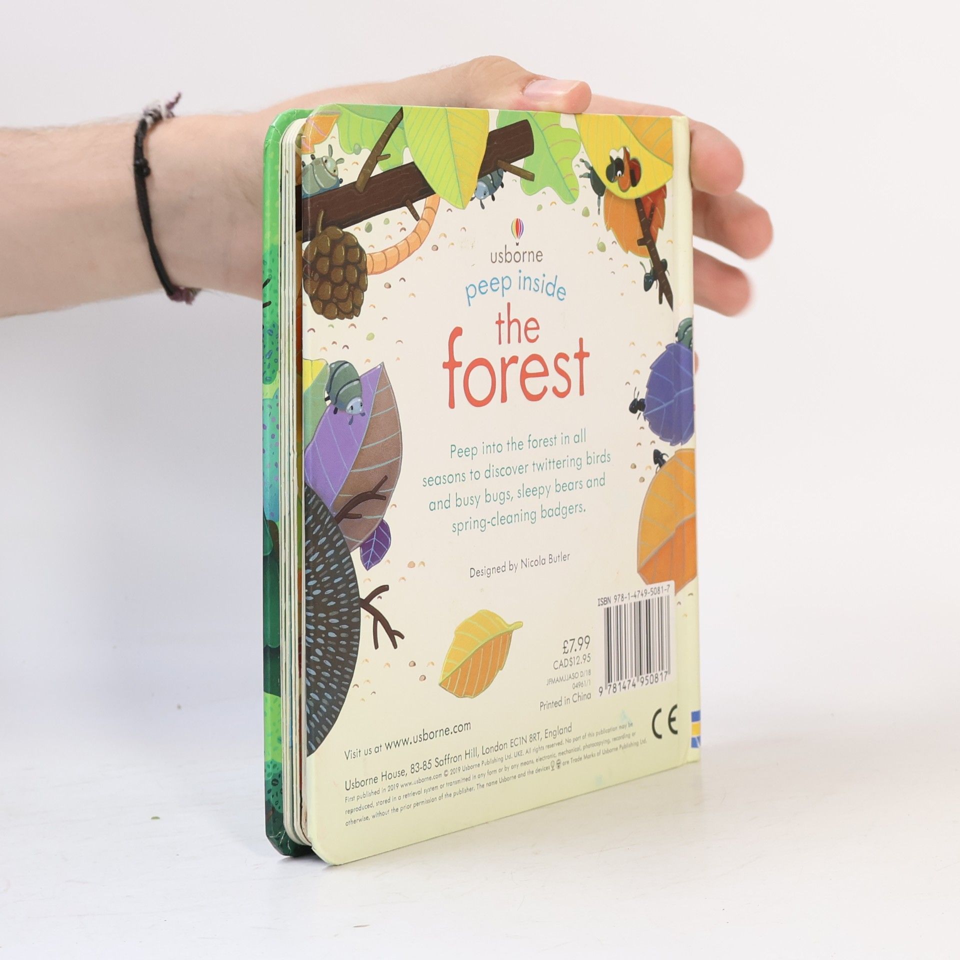 Anna Milbourne Peep Inside a Forest