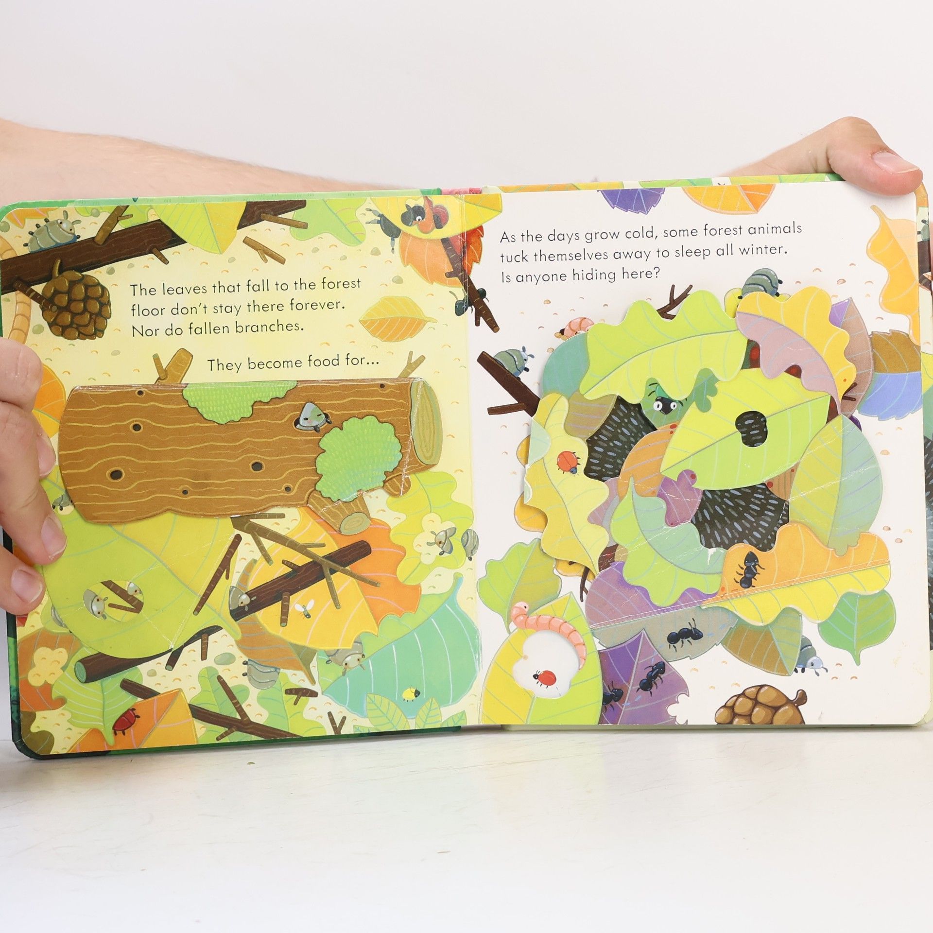 Anna Milbourne Peep Inside a Forest