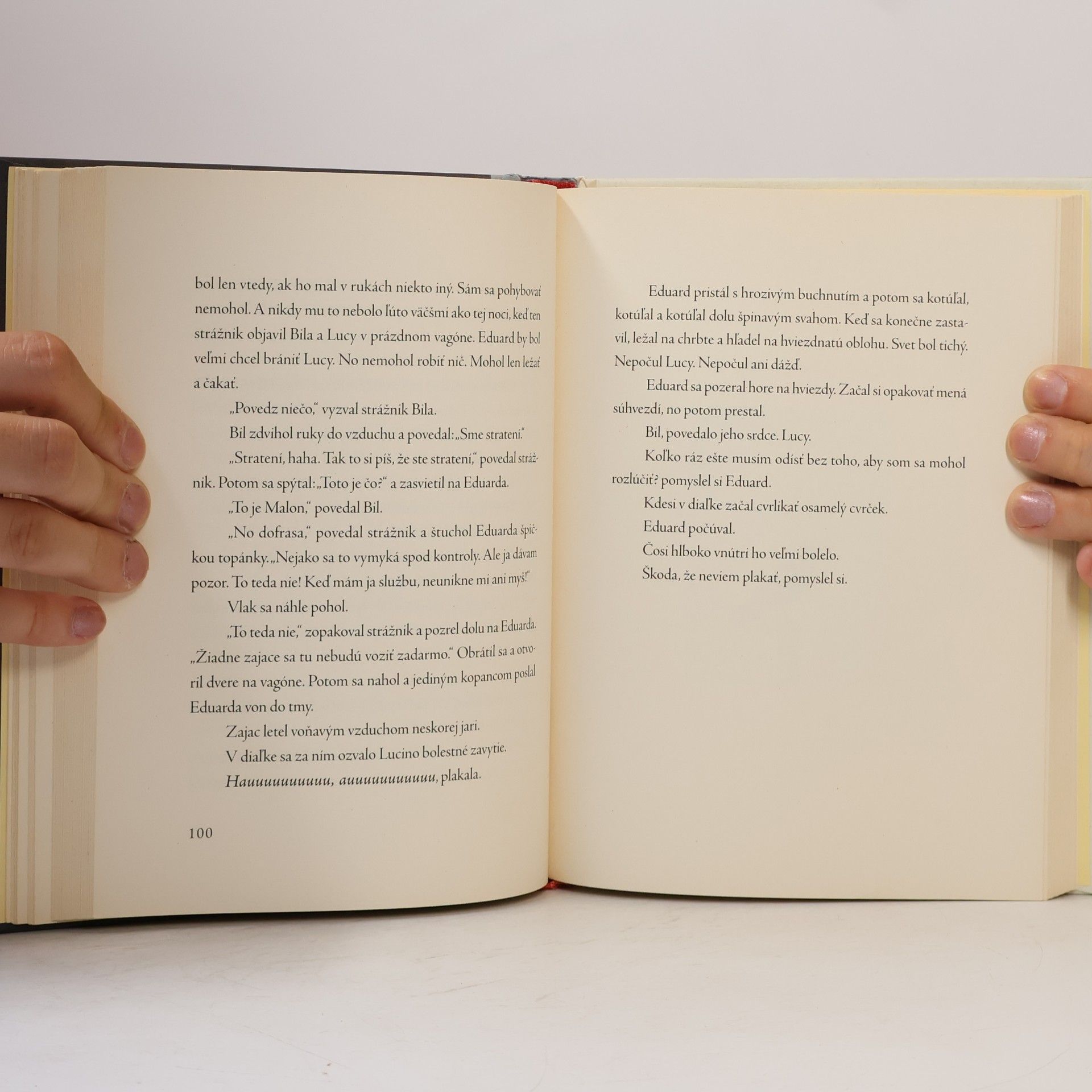 Kate DiCamillo Eduard a jeho zázračná cesta