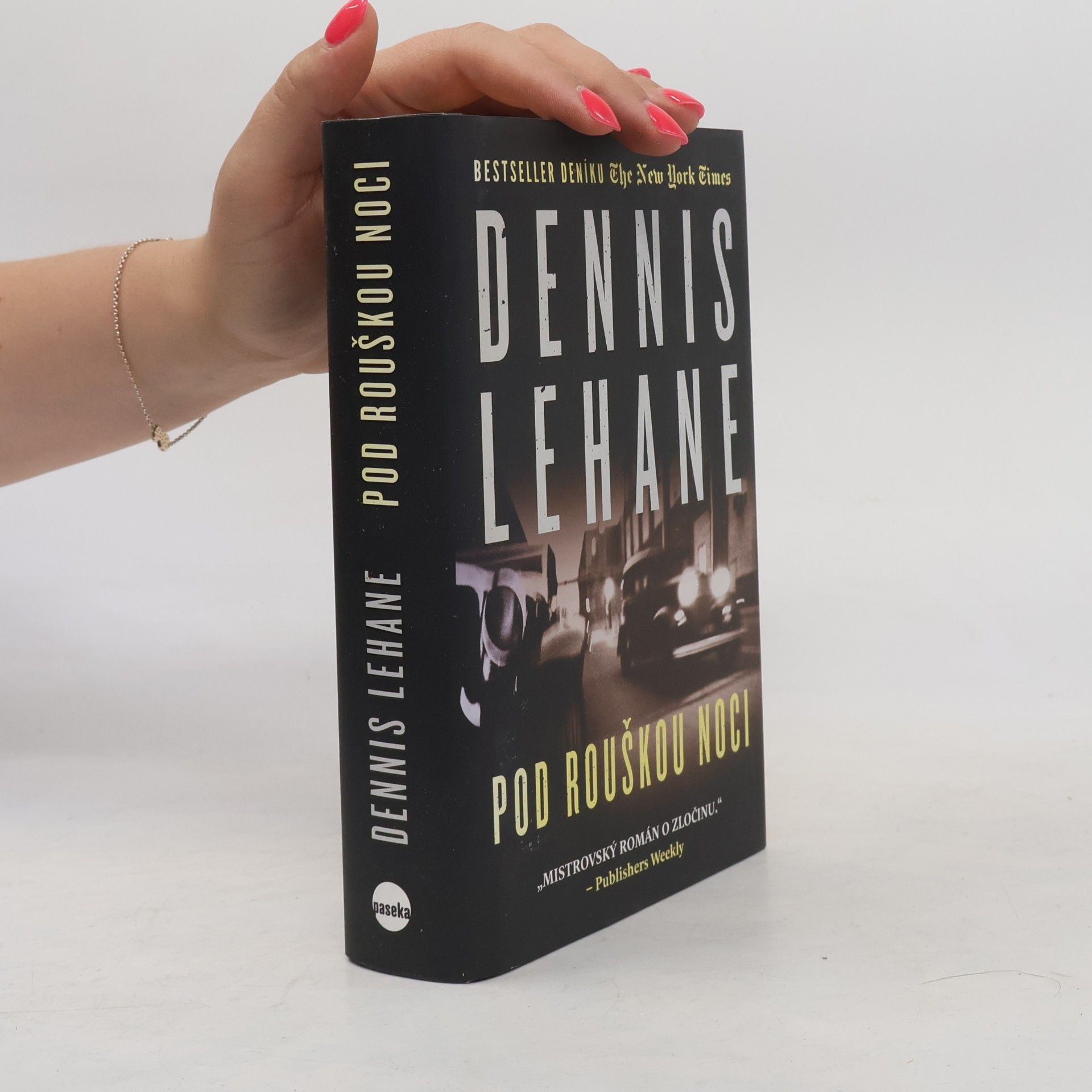 Dennis Lehane Pod rouškou noci