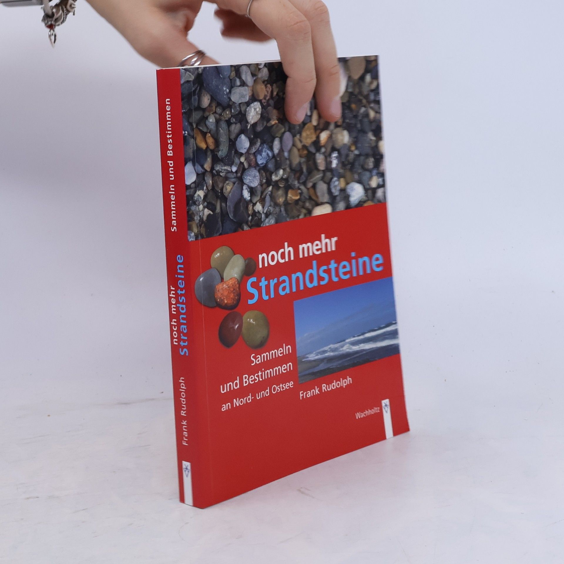 Frank Rudolph Noch mehr Strandsteine