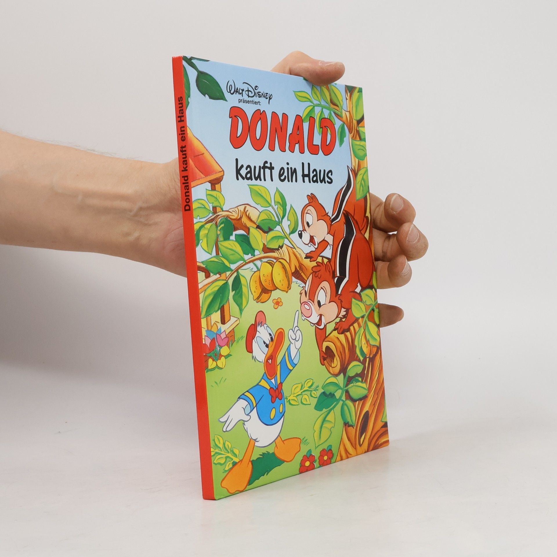 Autorenkollektiv Donald kauft ein Haus