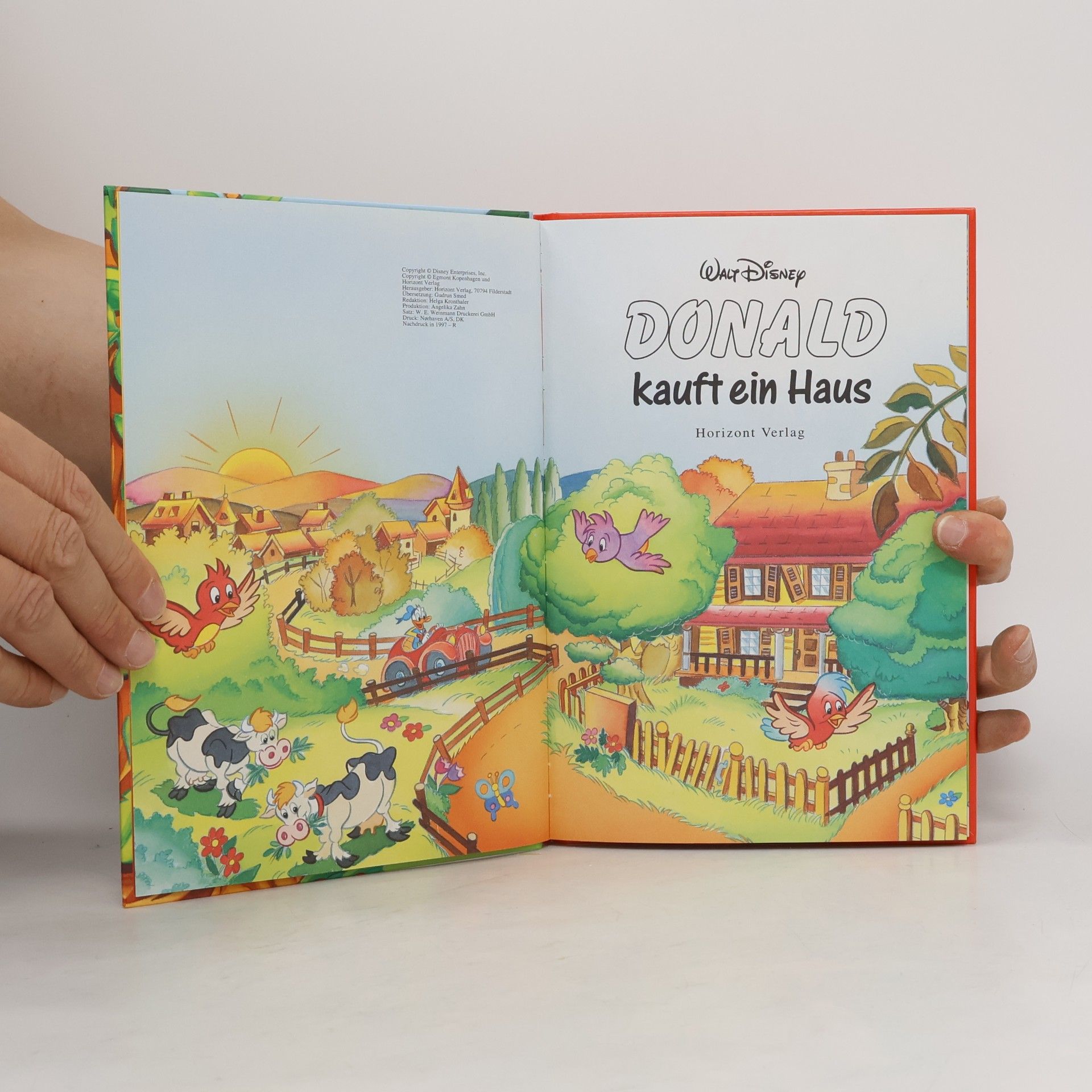 Autorenkollektiv Donald kauft ein Haus