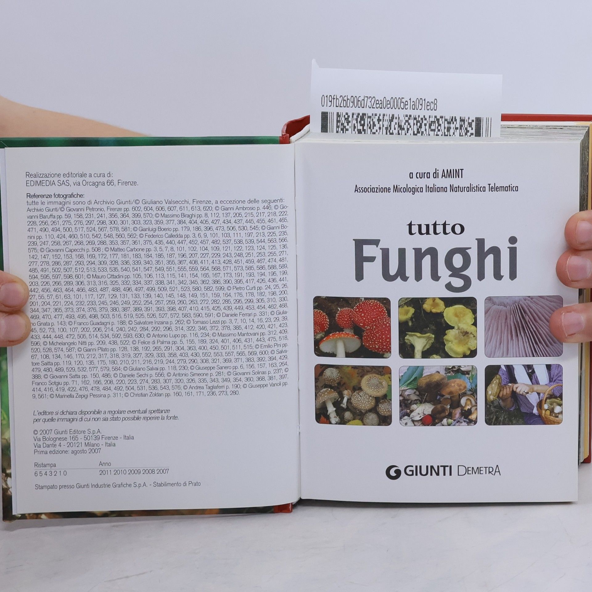 Tutto funghi. Conoscerli raccoglierli cucinarli
