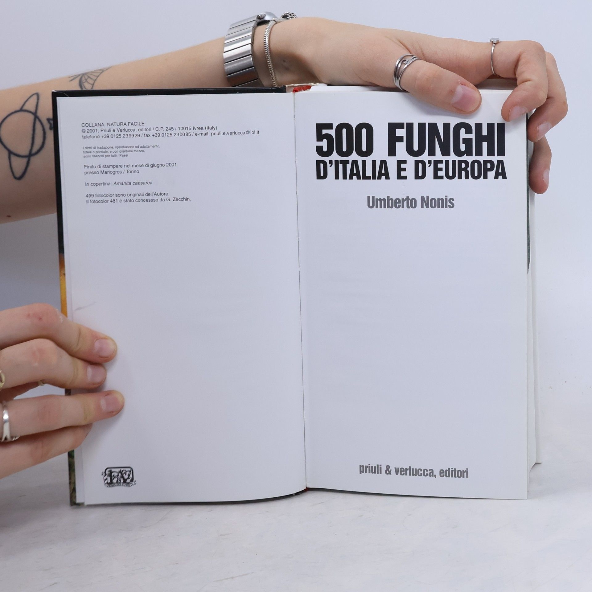 Umberto Nonis Guide manuali scultura lignea: Cinquecento funghi d'Italia e d'Europa