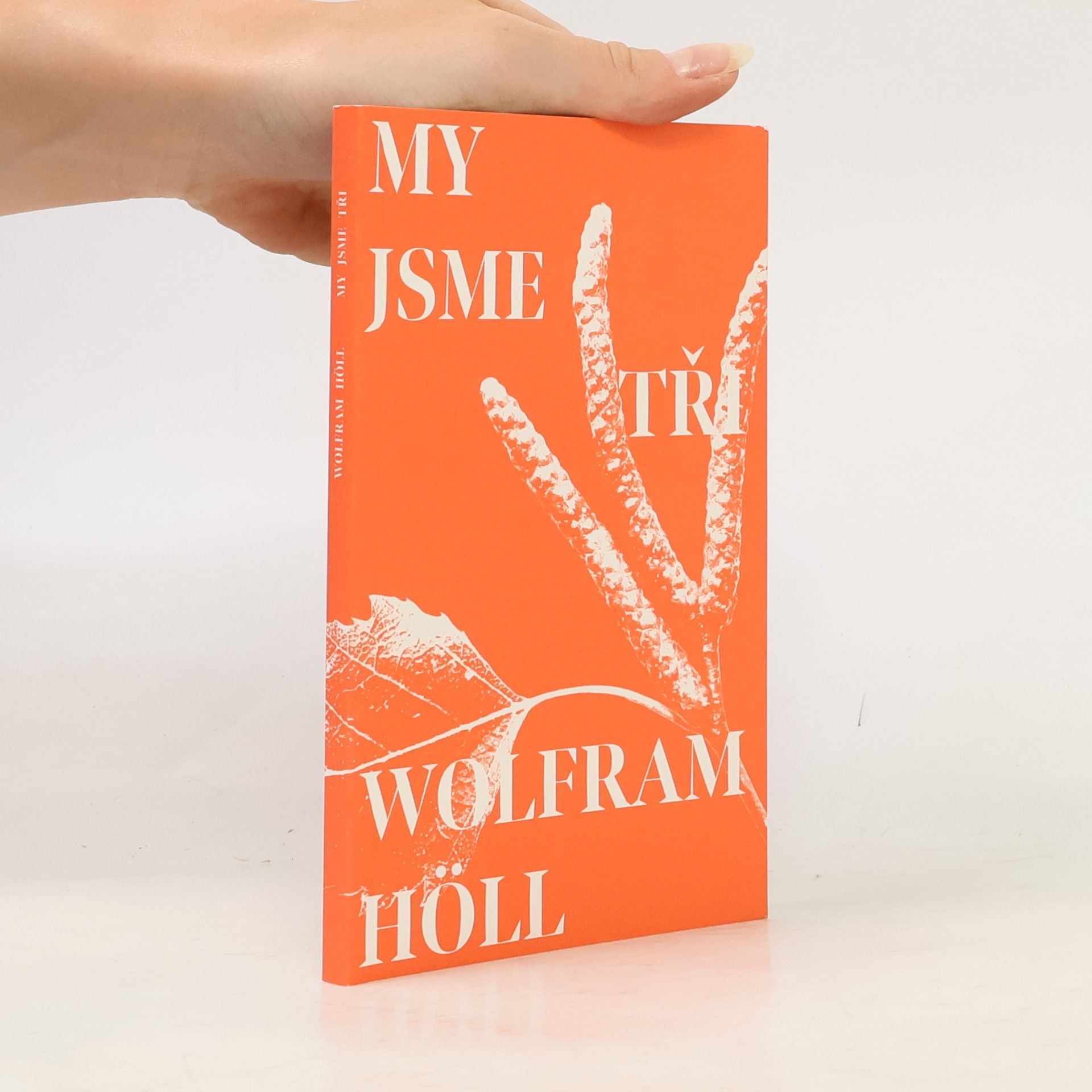 Wolfram Höll My jsme tři
