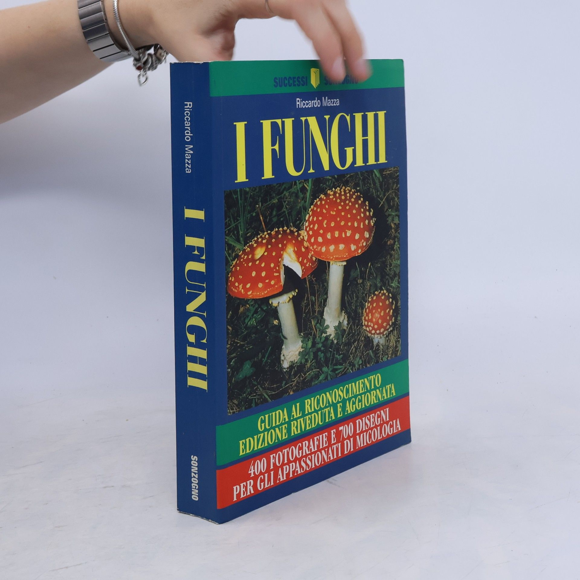 Riccardo Mazzanti Successi: I funghi