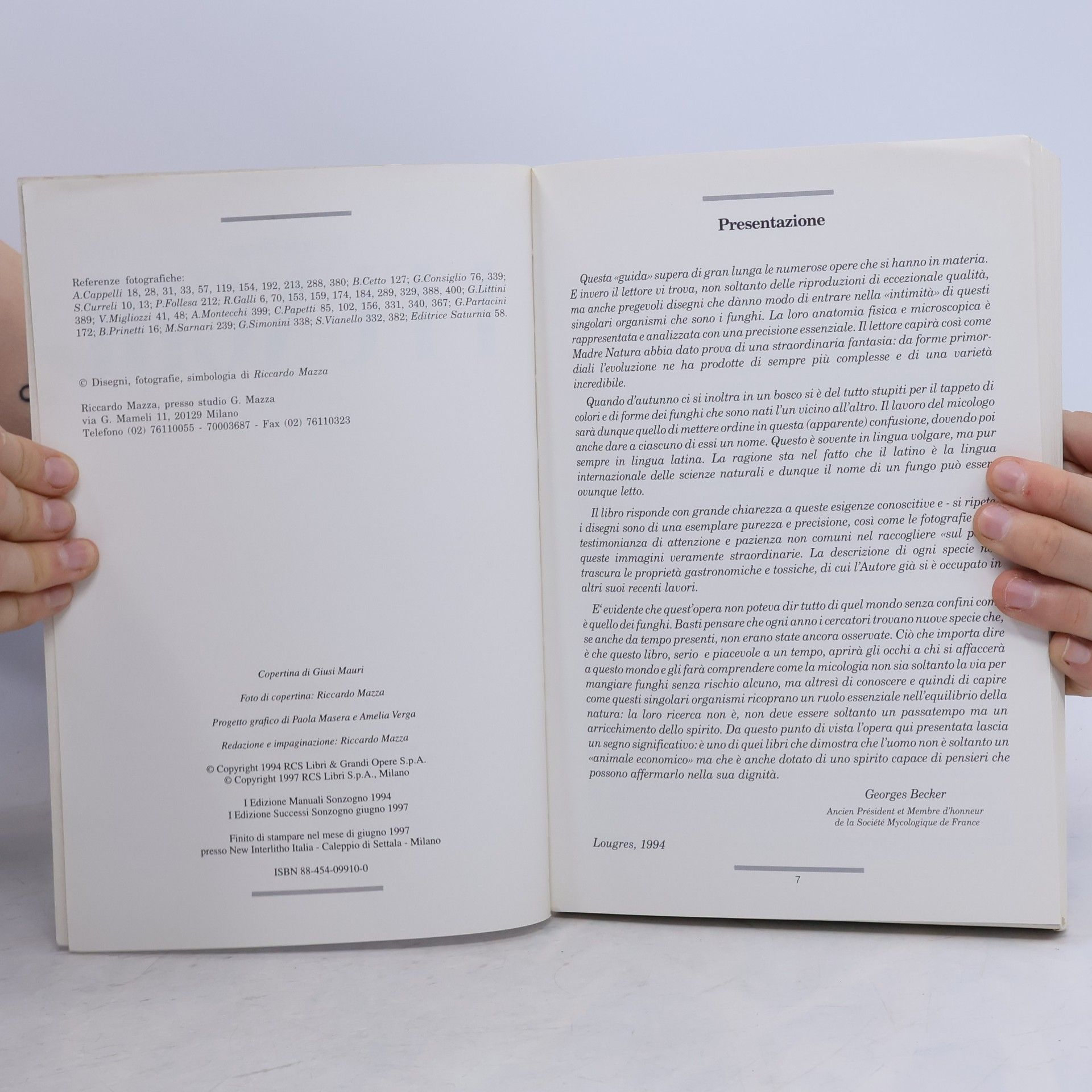 Riccardo Mazzanti Successi: I funghi