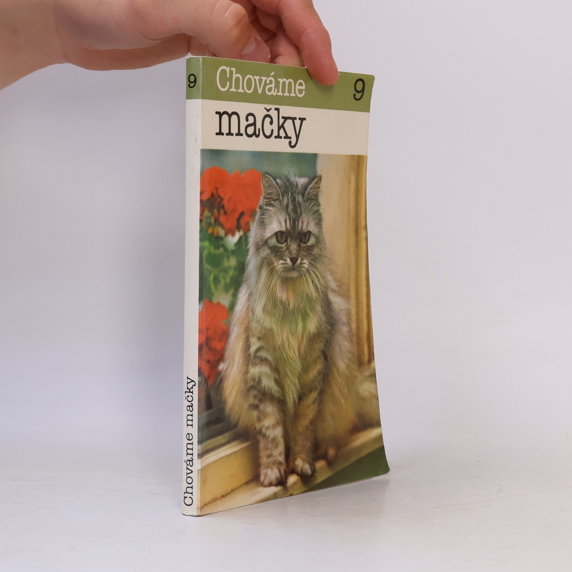Chováme mačky