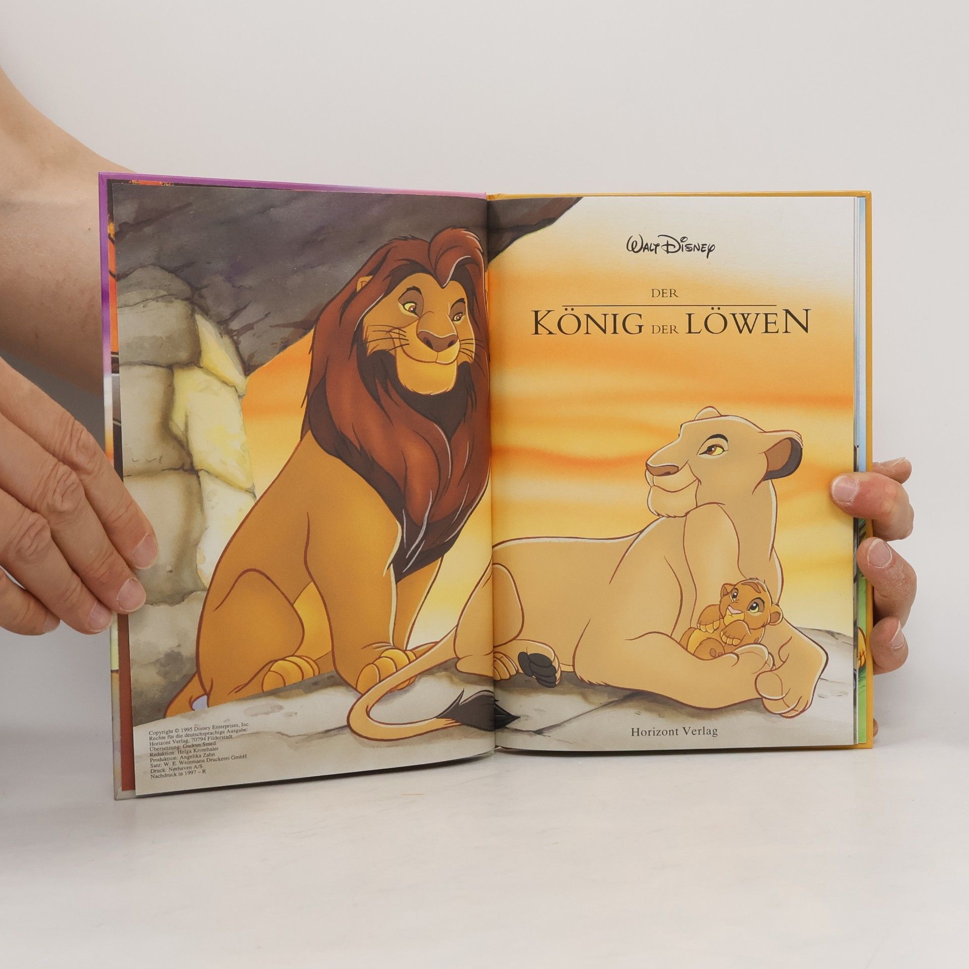 Autorenkollektiv Der König der Löwen