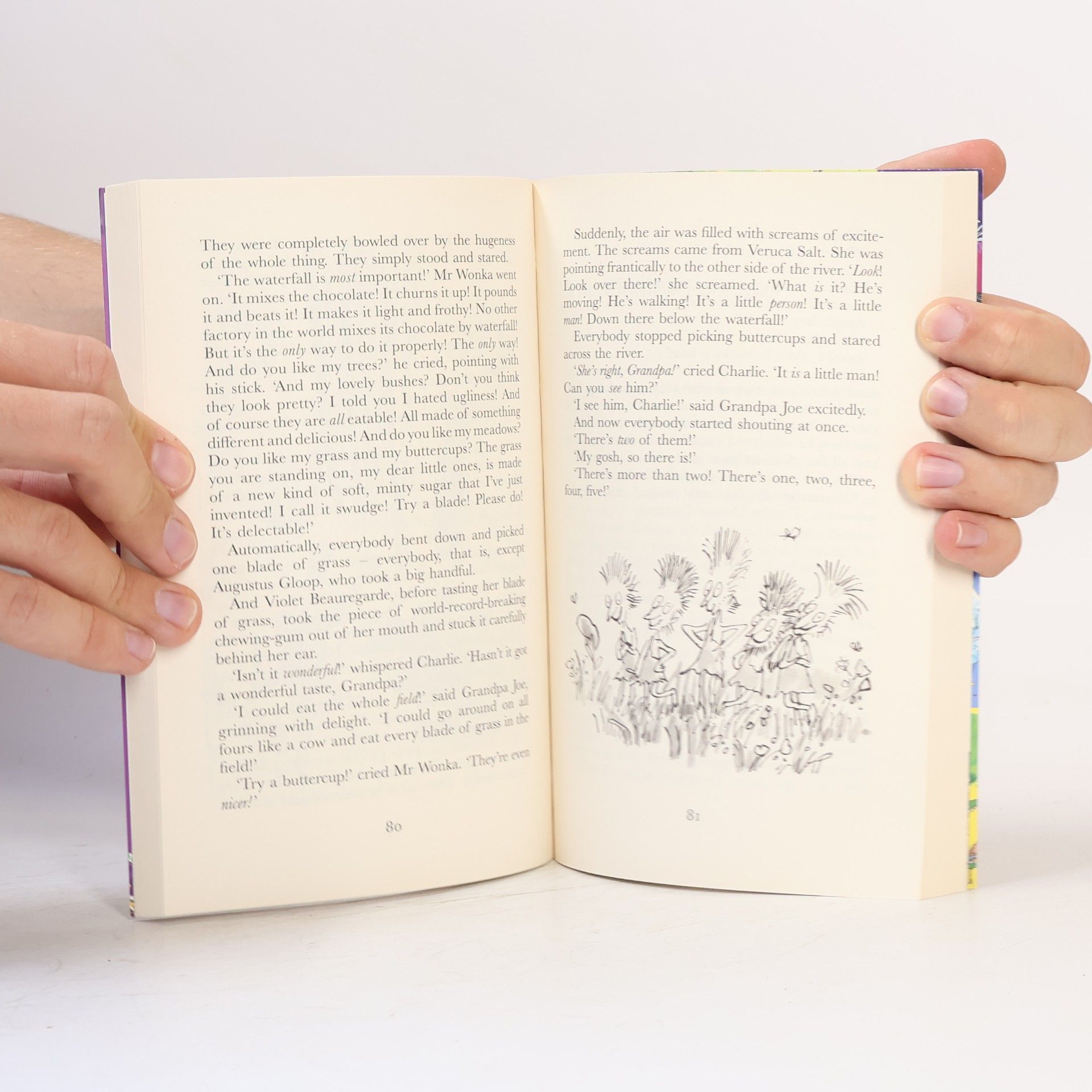 Roald Dahl Charlie and the chocolate factory