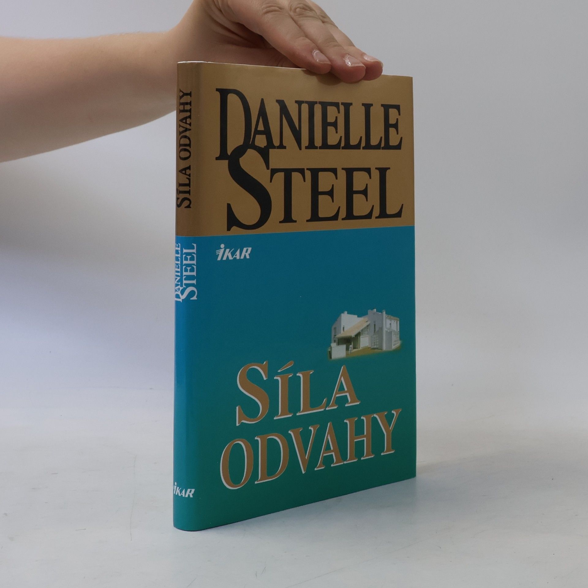 Danielle Steelová Síla odvahy