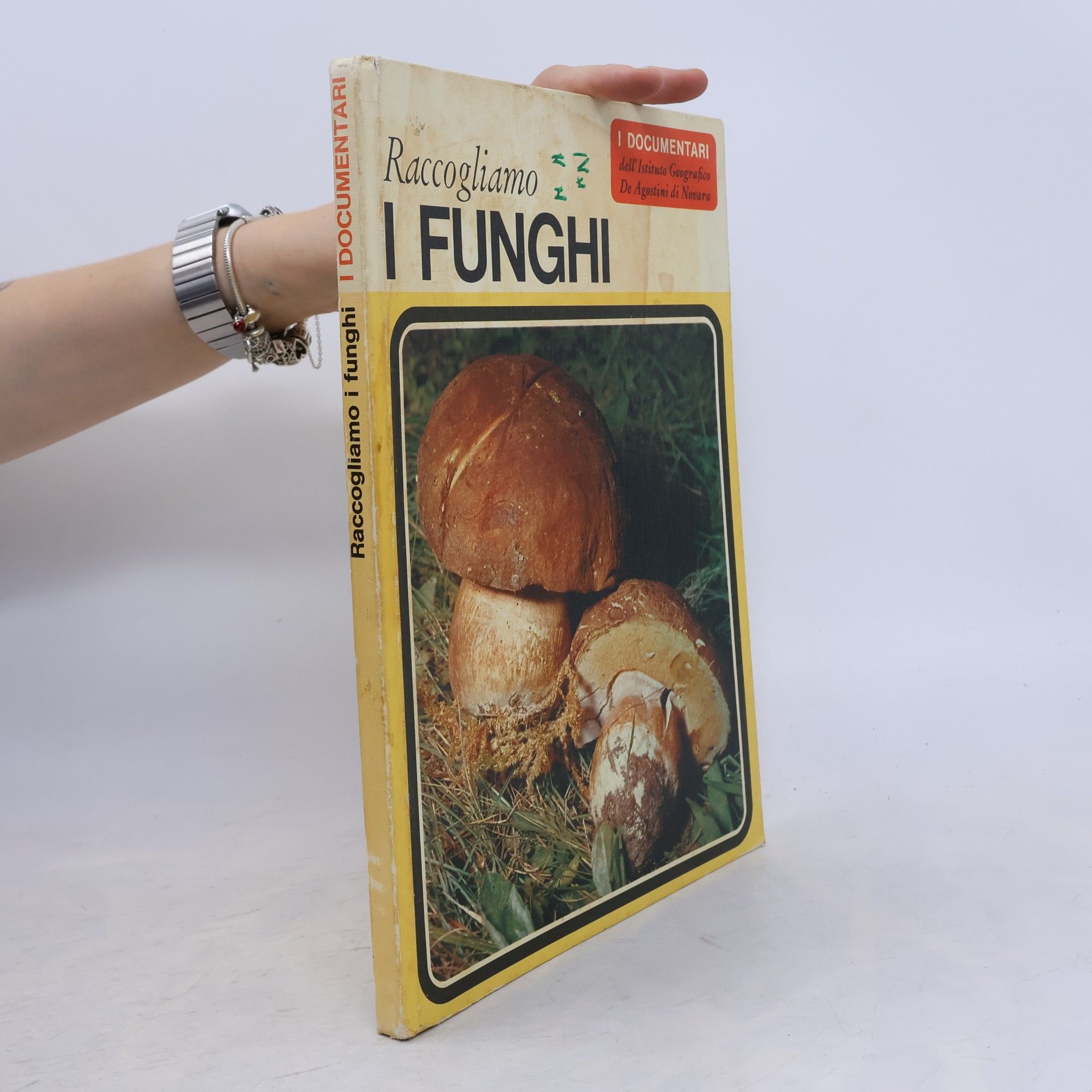 Raccogliamo i funghi