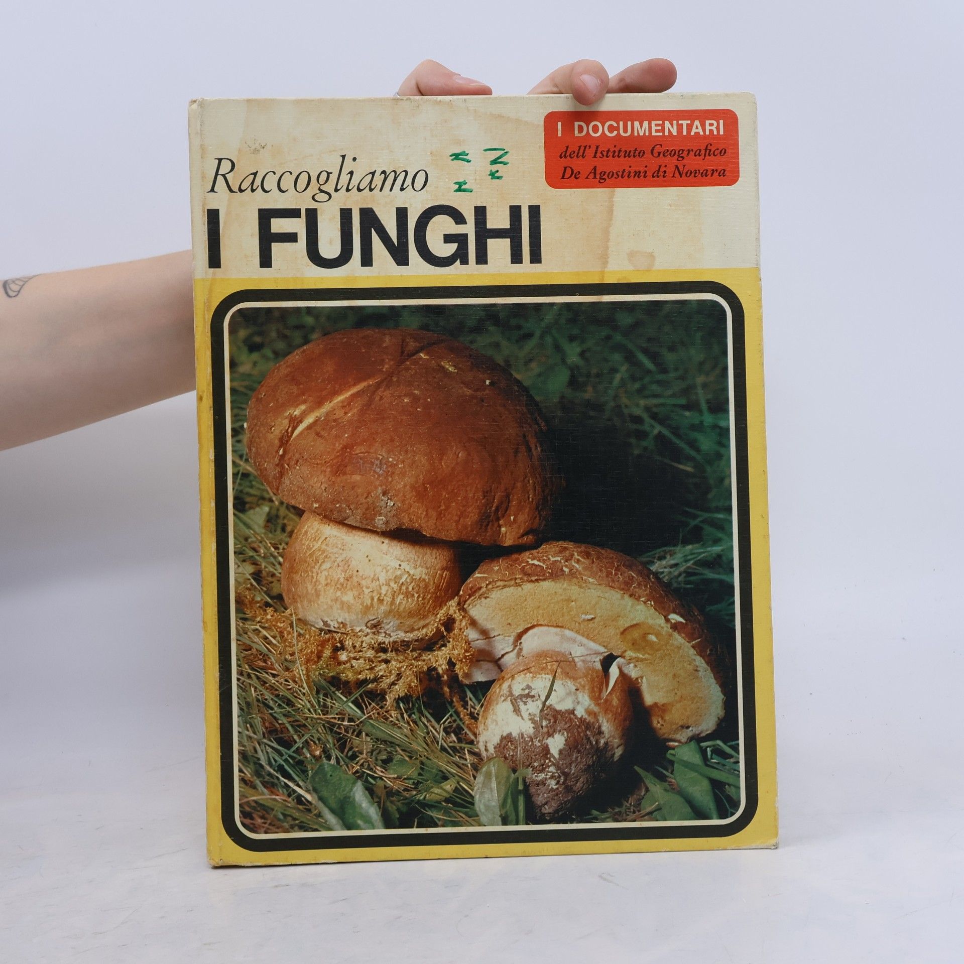 Uberto Tosco Raccogliamo i funghi