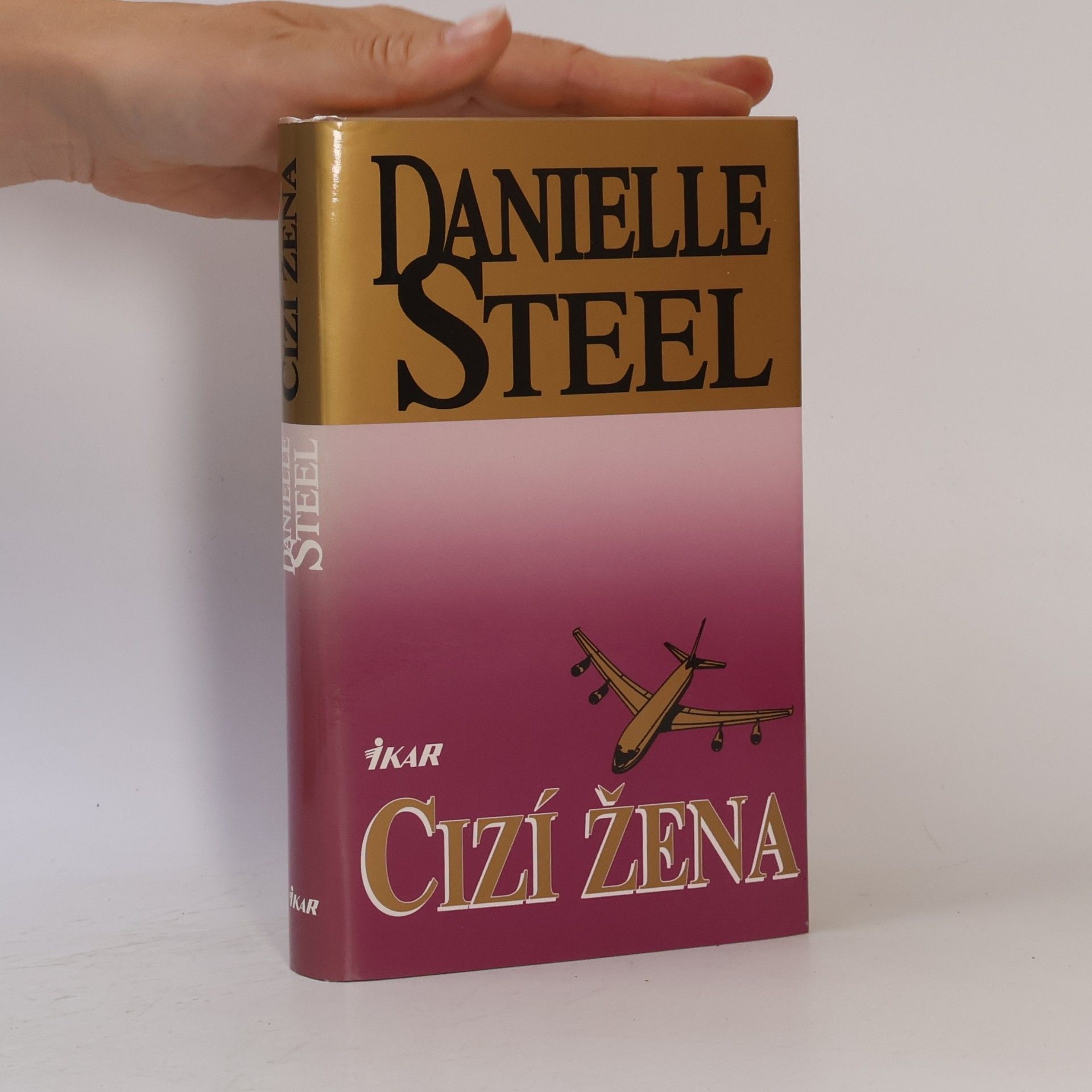 Danielle Steel Cizí žena