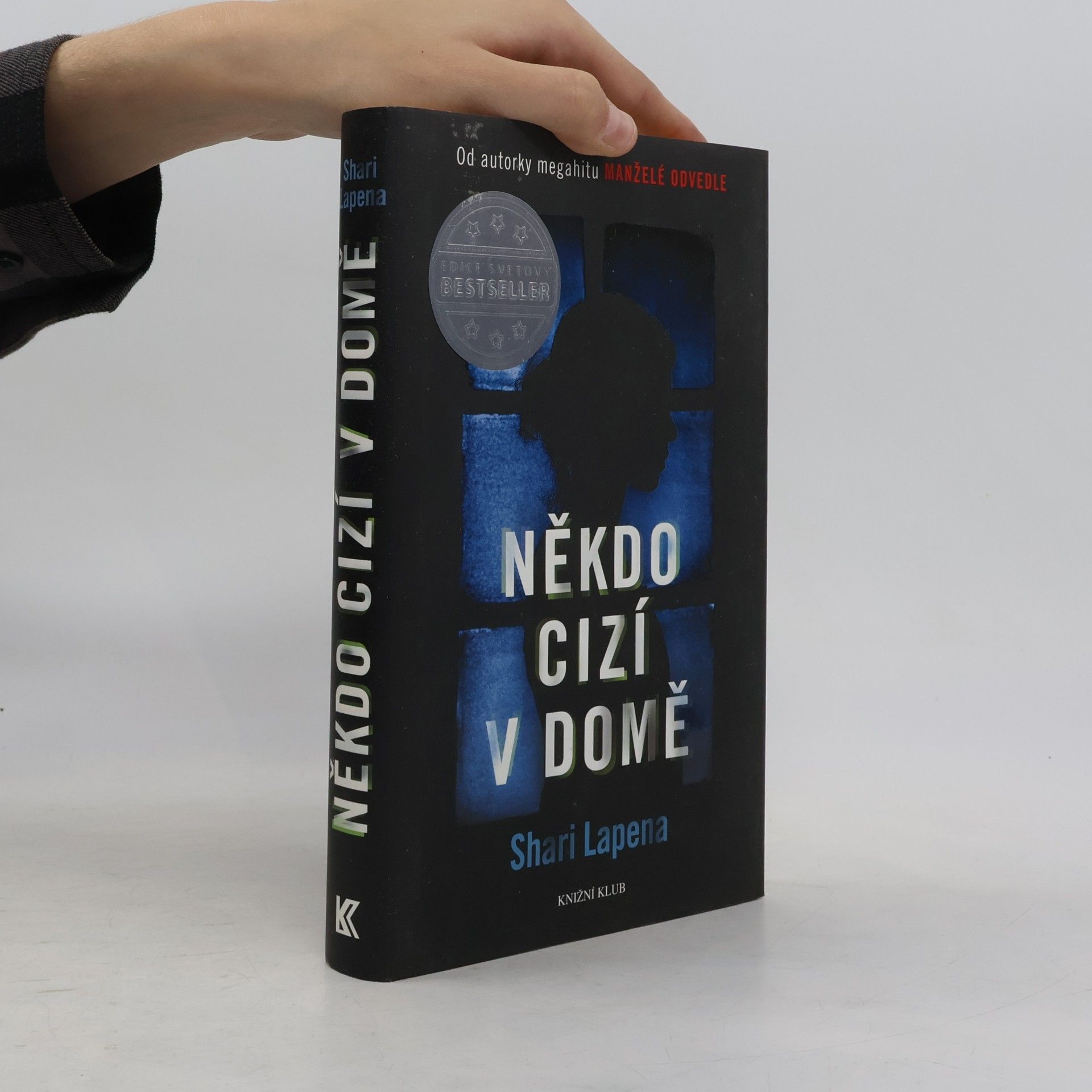 Shari Lapenová Někdo cizí v domě