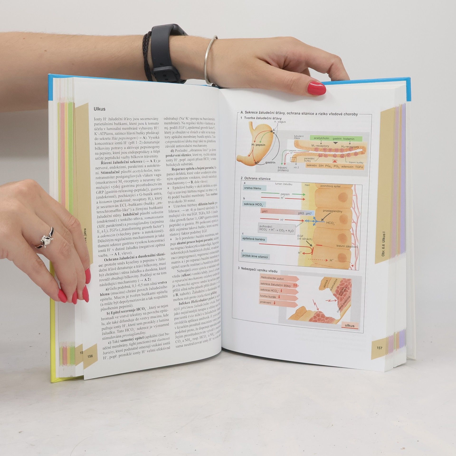 Stefan Silbernagl Atlas patofyziologie