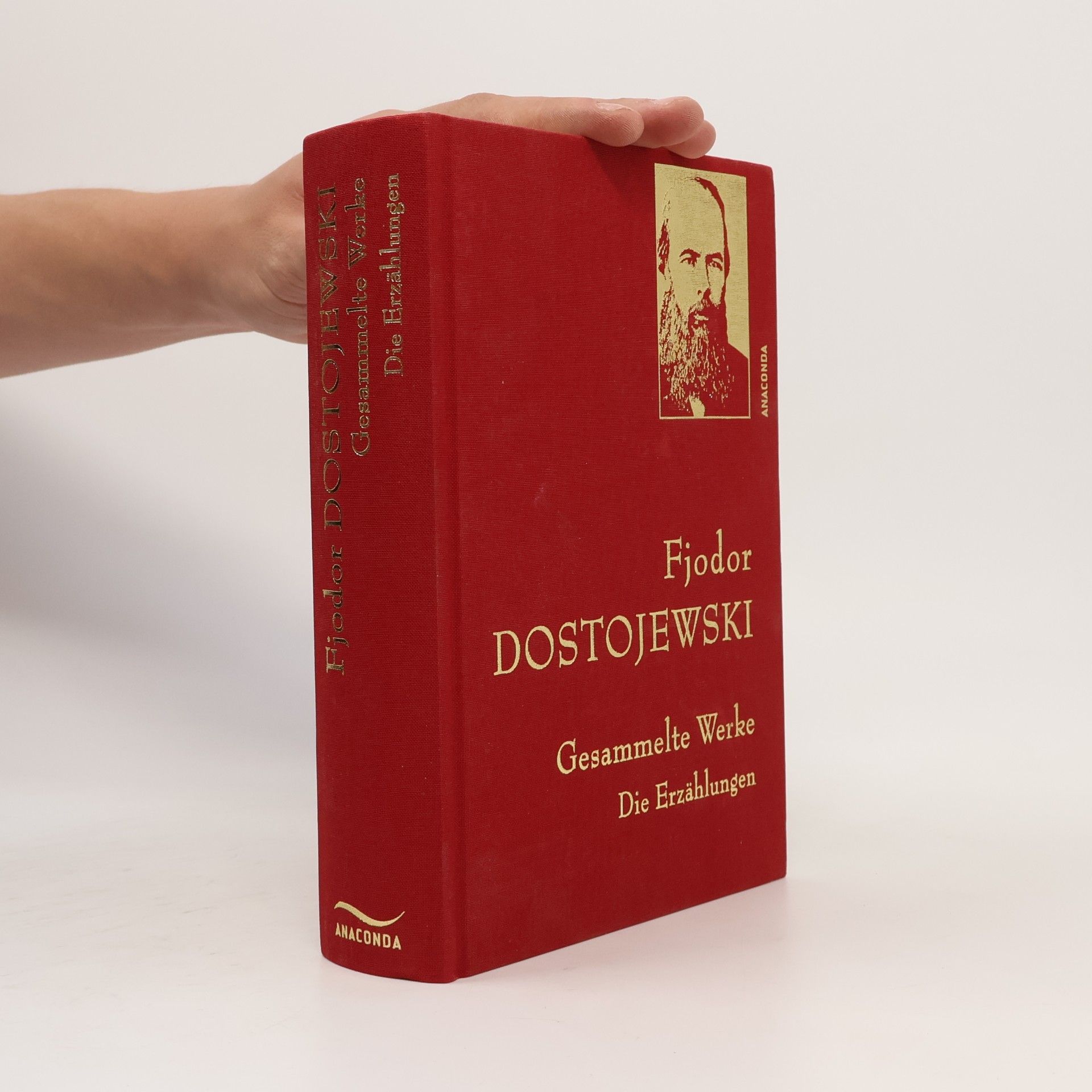 Fjodor Michajlovič Dostojevskij Die Erzählungen