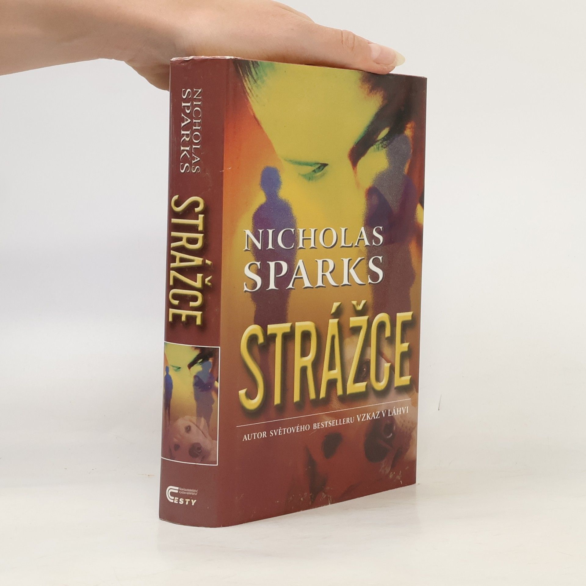 Nicholas Sparks Strážce