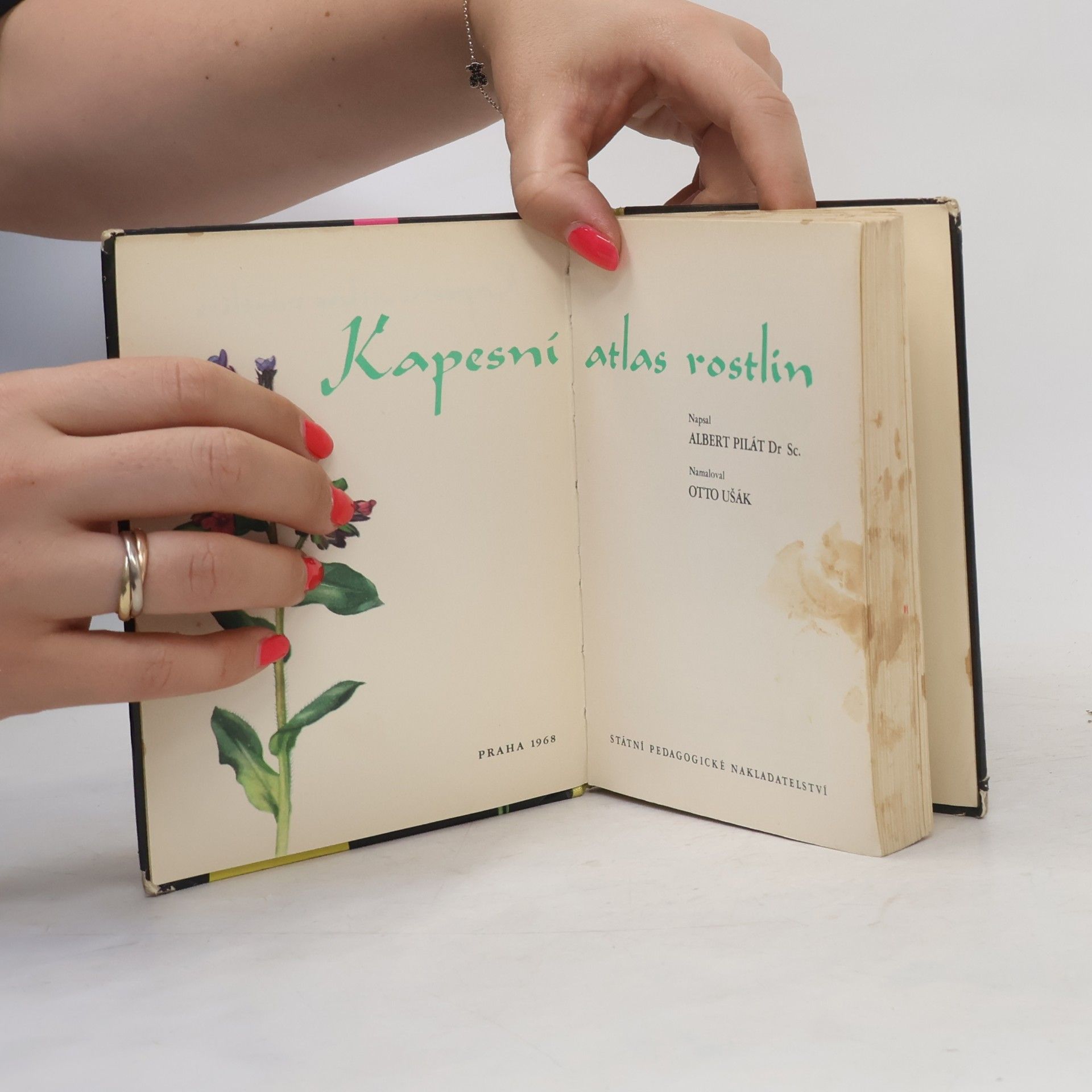Albert Pilát Kapesní atlas rostlin