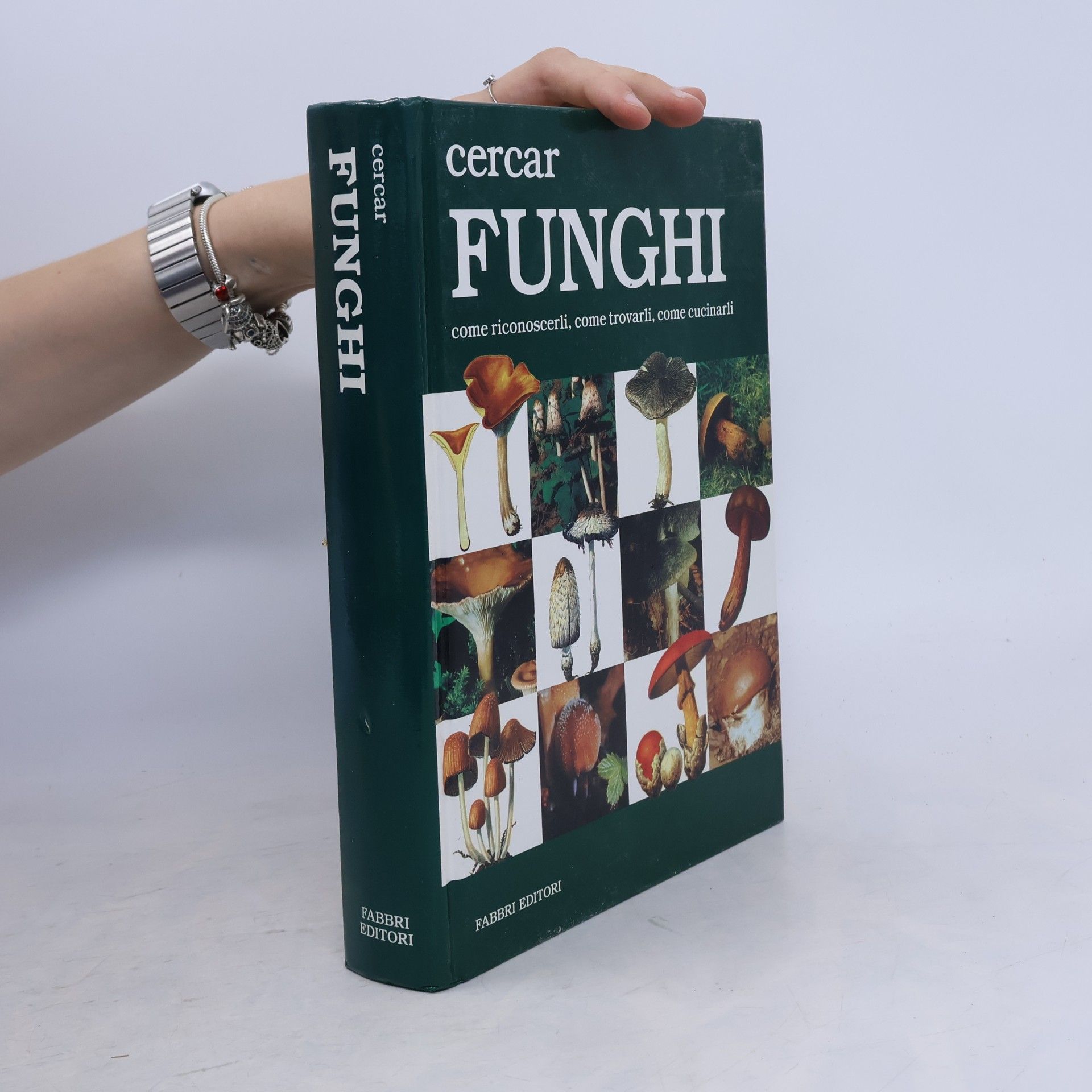 Autorenkollektiv Cercar: I funghi