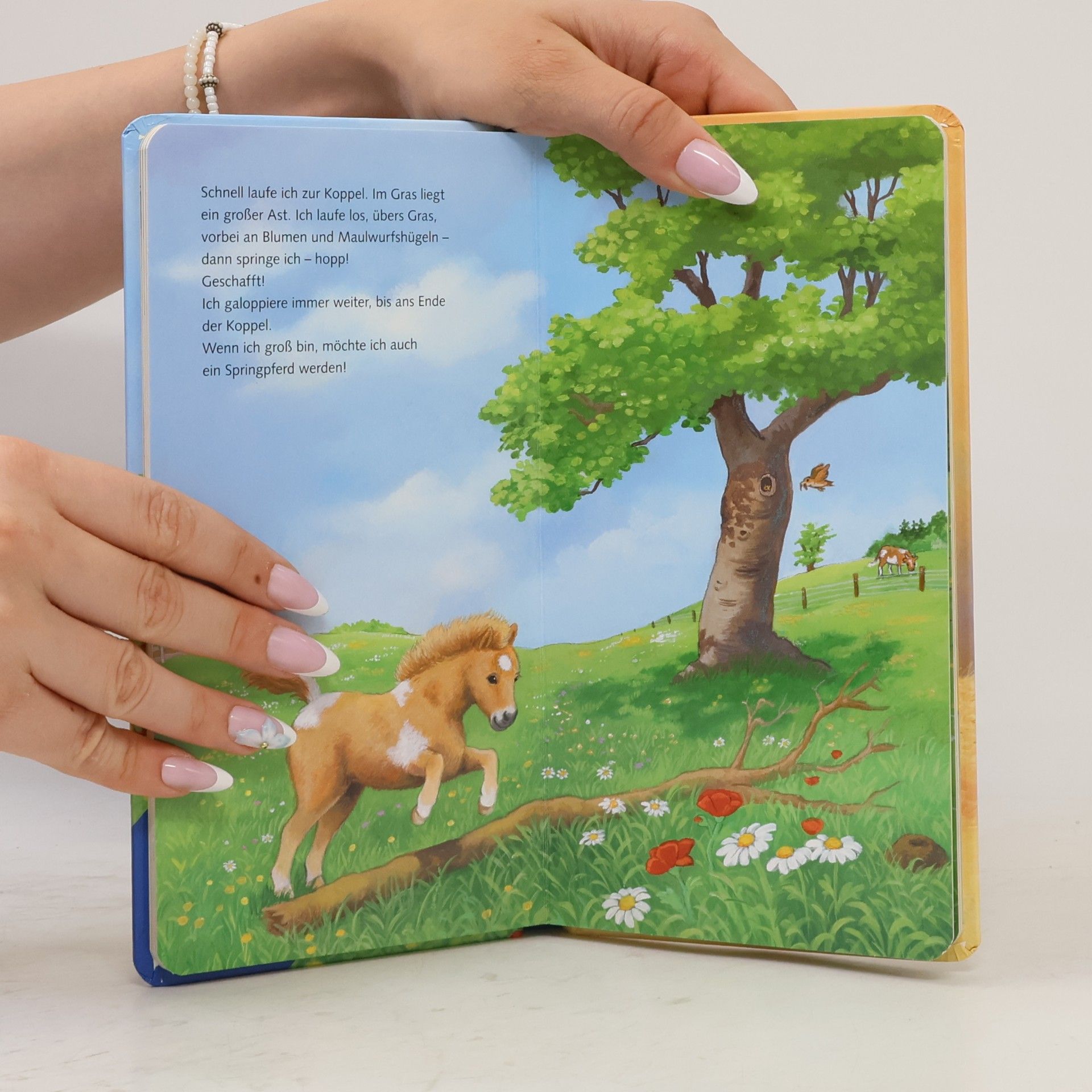 Ana Weller Ich bin das kleine Pony