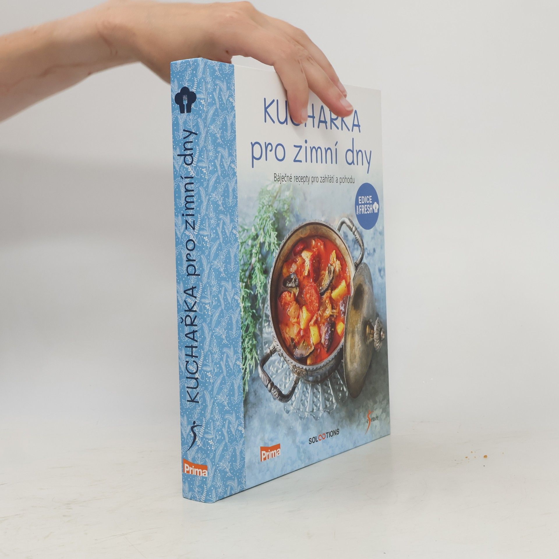 Autores varios Kuchařka pro zimní dny