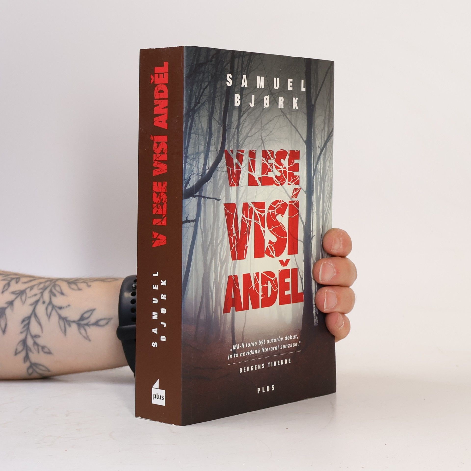 Samuel Bjork V lese visí anděl