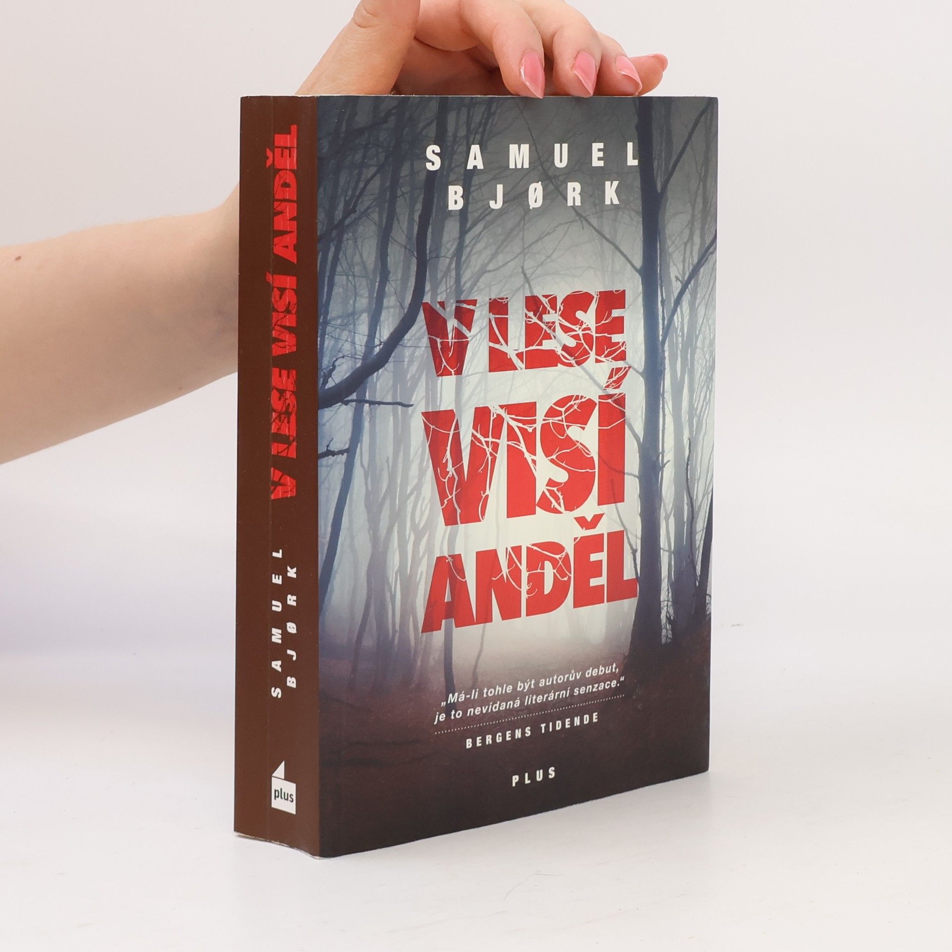 Samuel Bjork V lese visí anděl